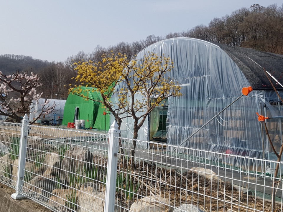 우봉진의 버섯세상