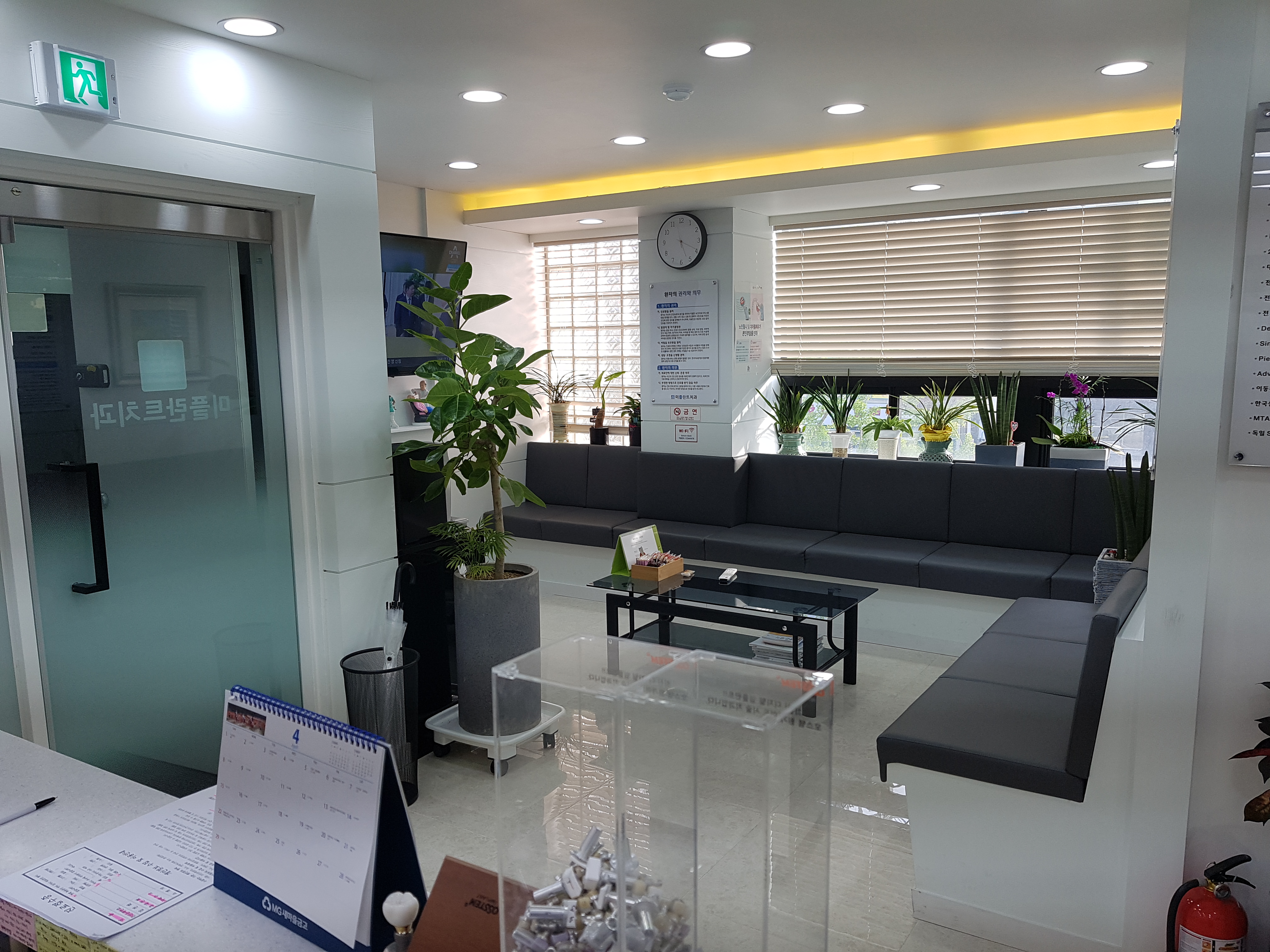 미플란트치과의원 대표 이미지