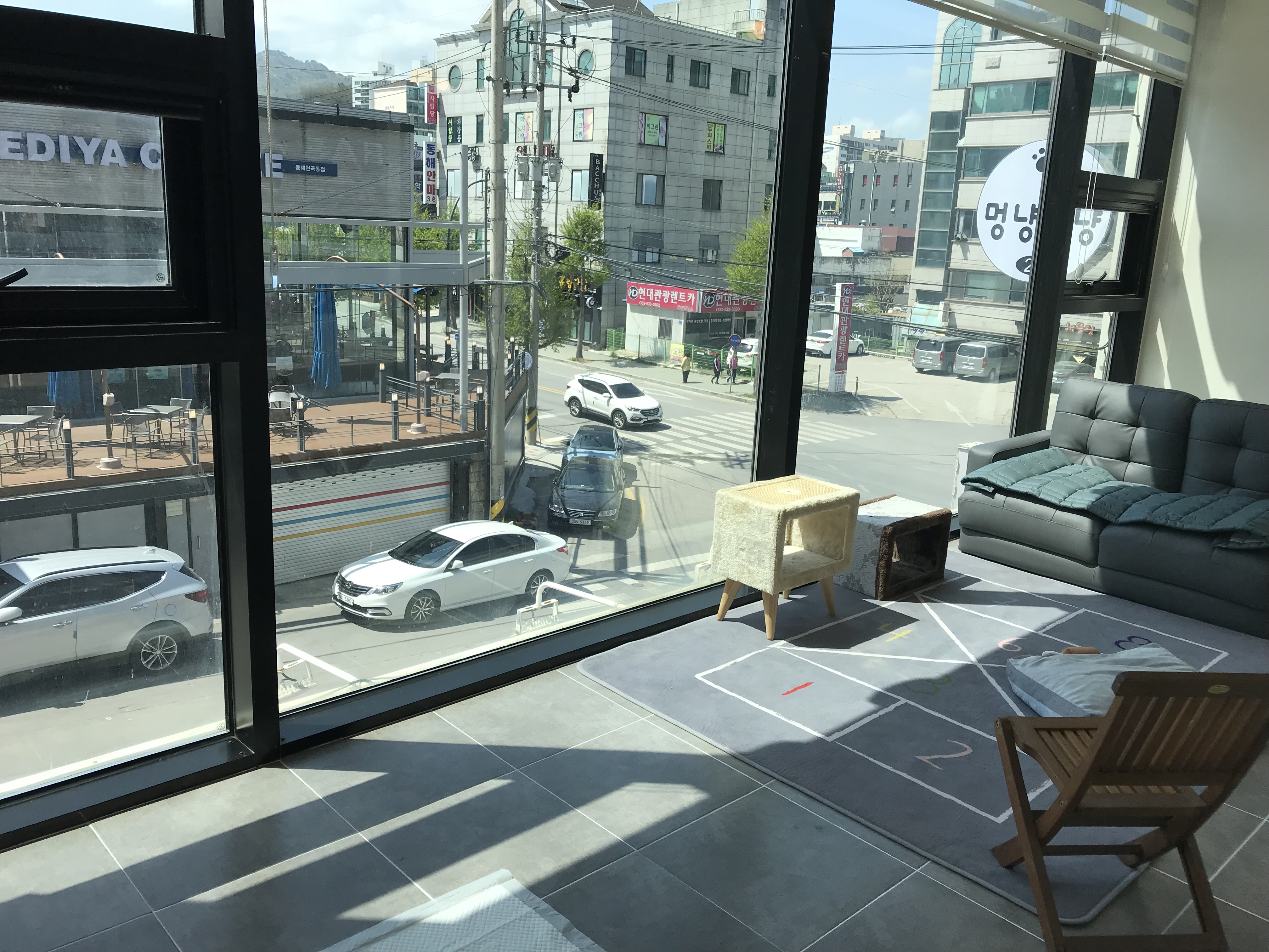 멍냥멍냥 미용실 대표 이미지