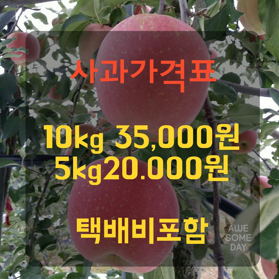 연주농원