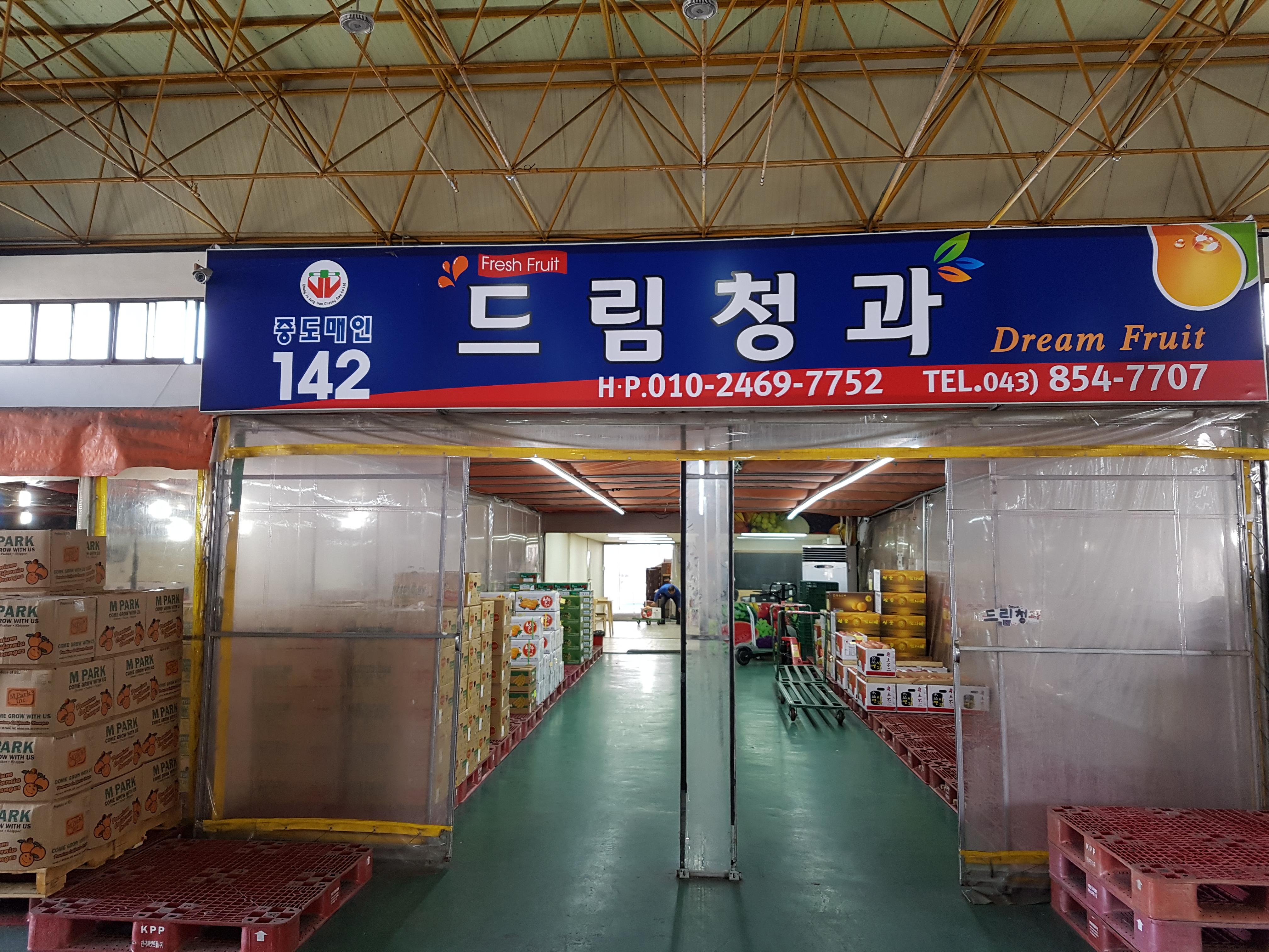 드림청과