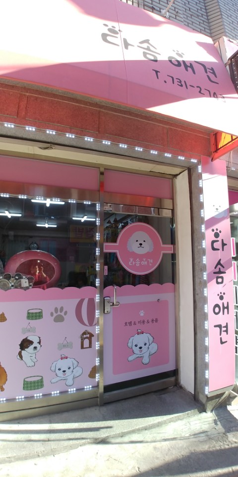 다솜애견 대표 이미지