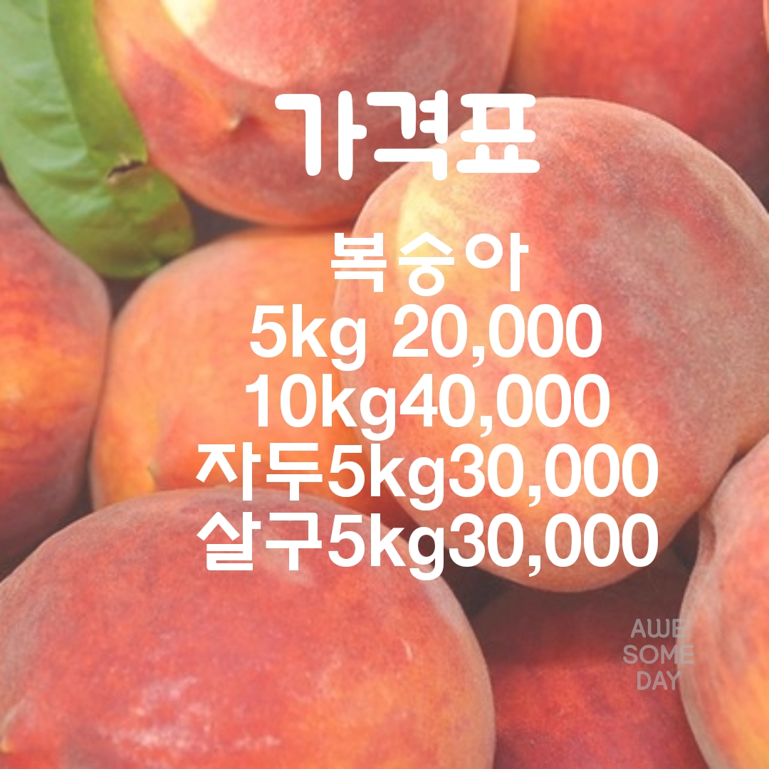 별빛누리농원