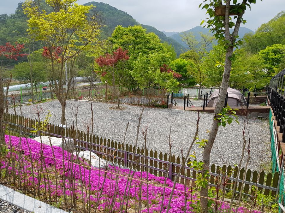 추월산 골드카라반캠핑장