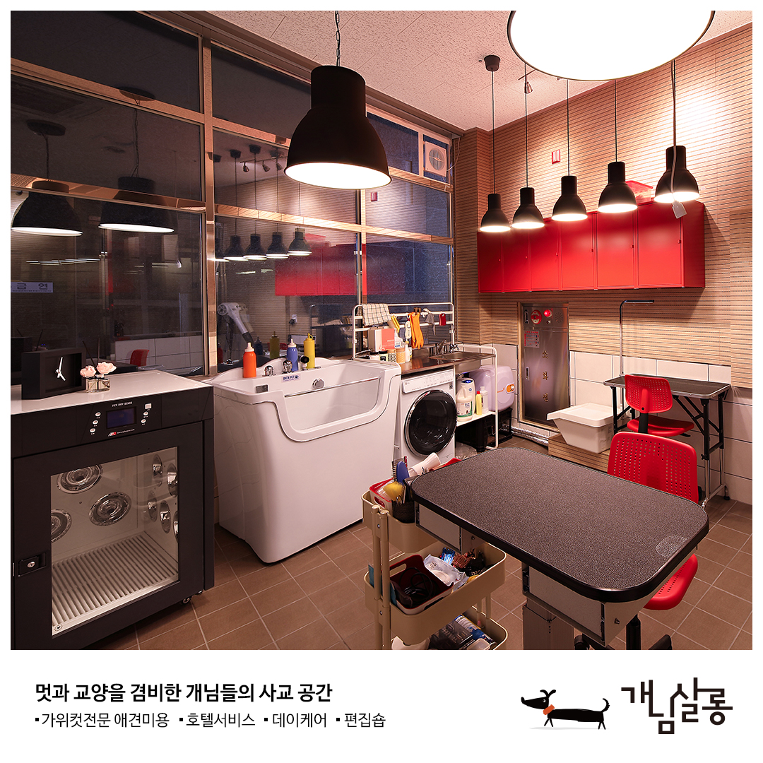 개님살롱 대표 이미지