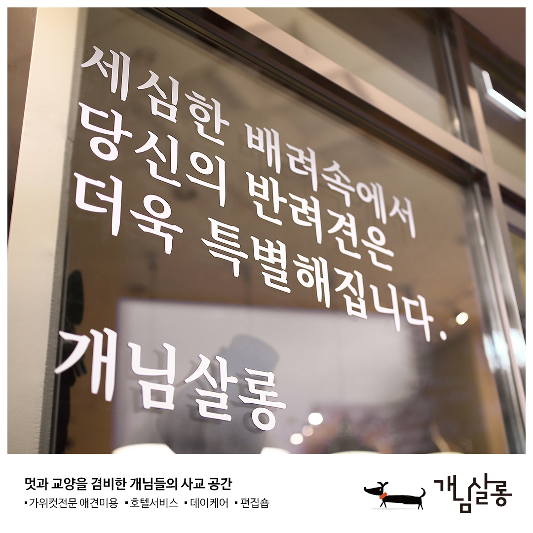 개님살롱 대표 이미지