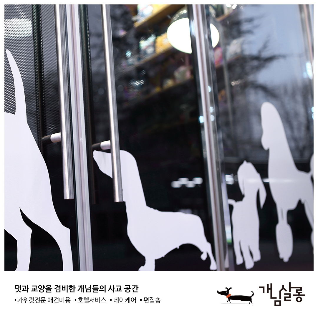 개님살롱 대표 이미지