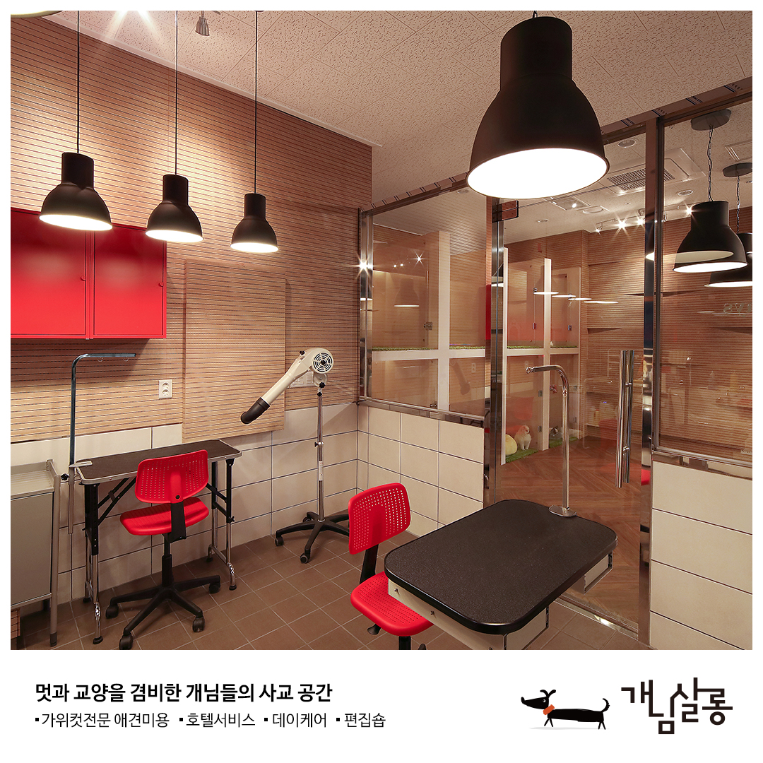 개님살롱 대표 이미지