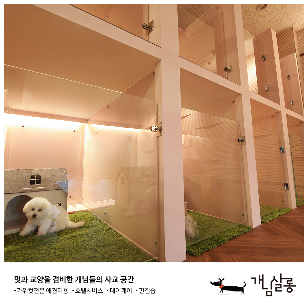 개님살롱 대표 이미지