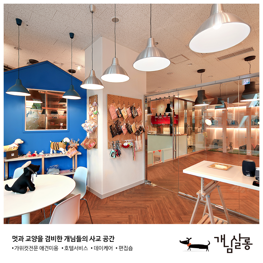 개님살롱 대표 이미지