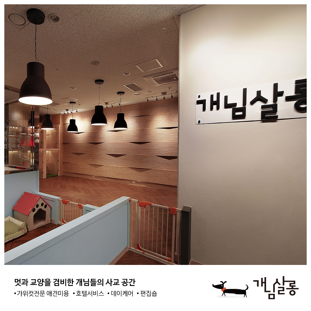 개님살롱 대표 이미지