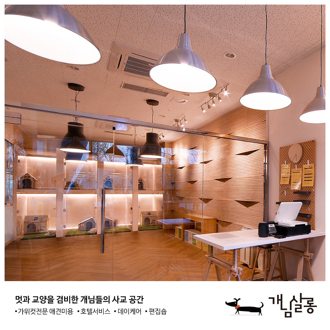 개님살롱 대표 이미지