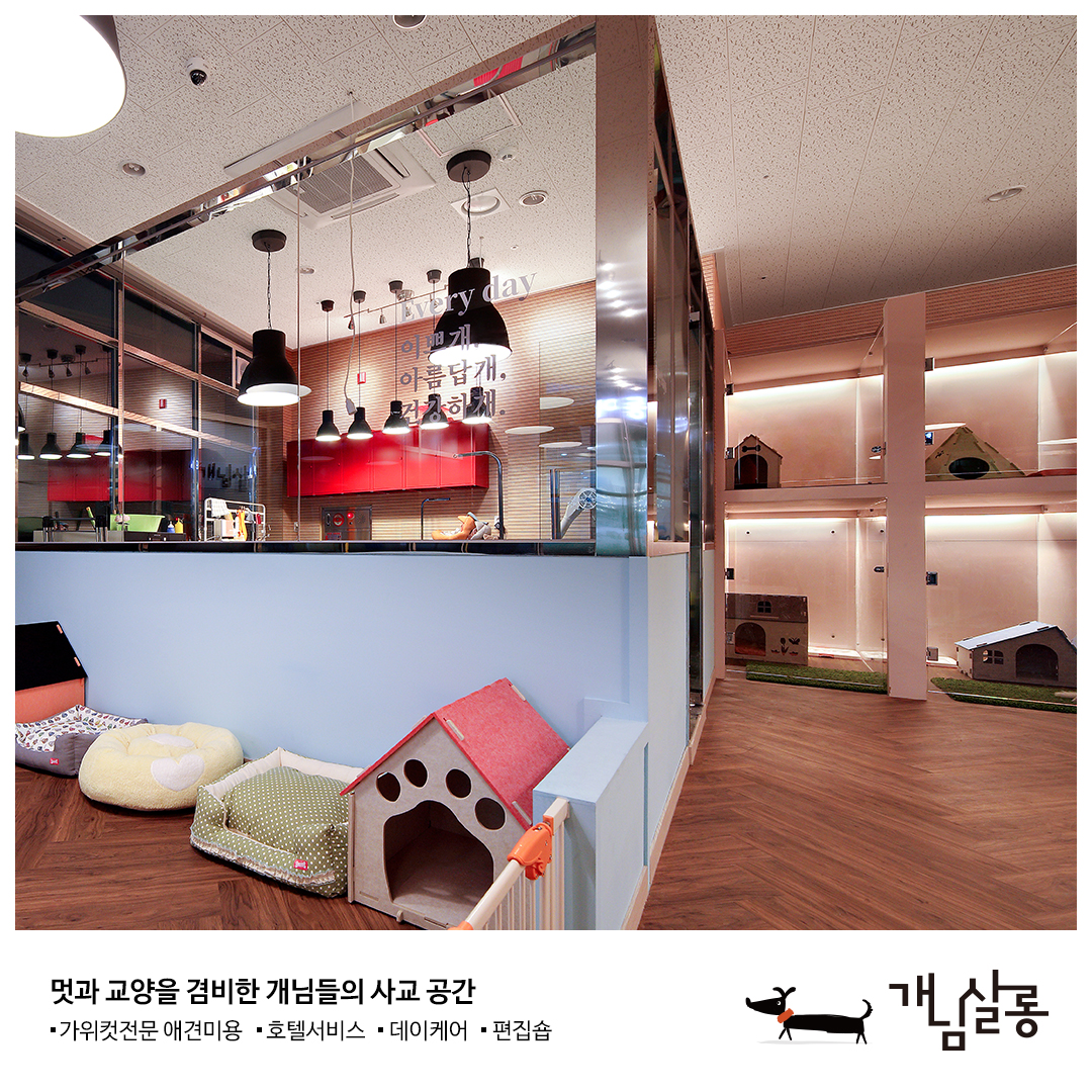 개님살롱 대표 이미지