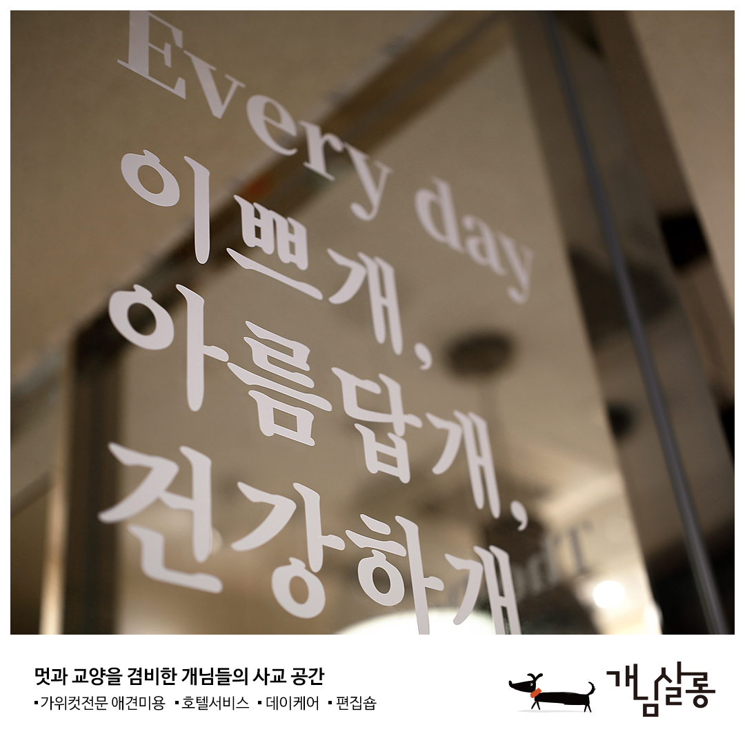 개님살롱 대표 이미지