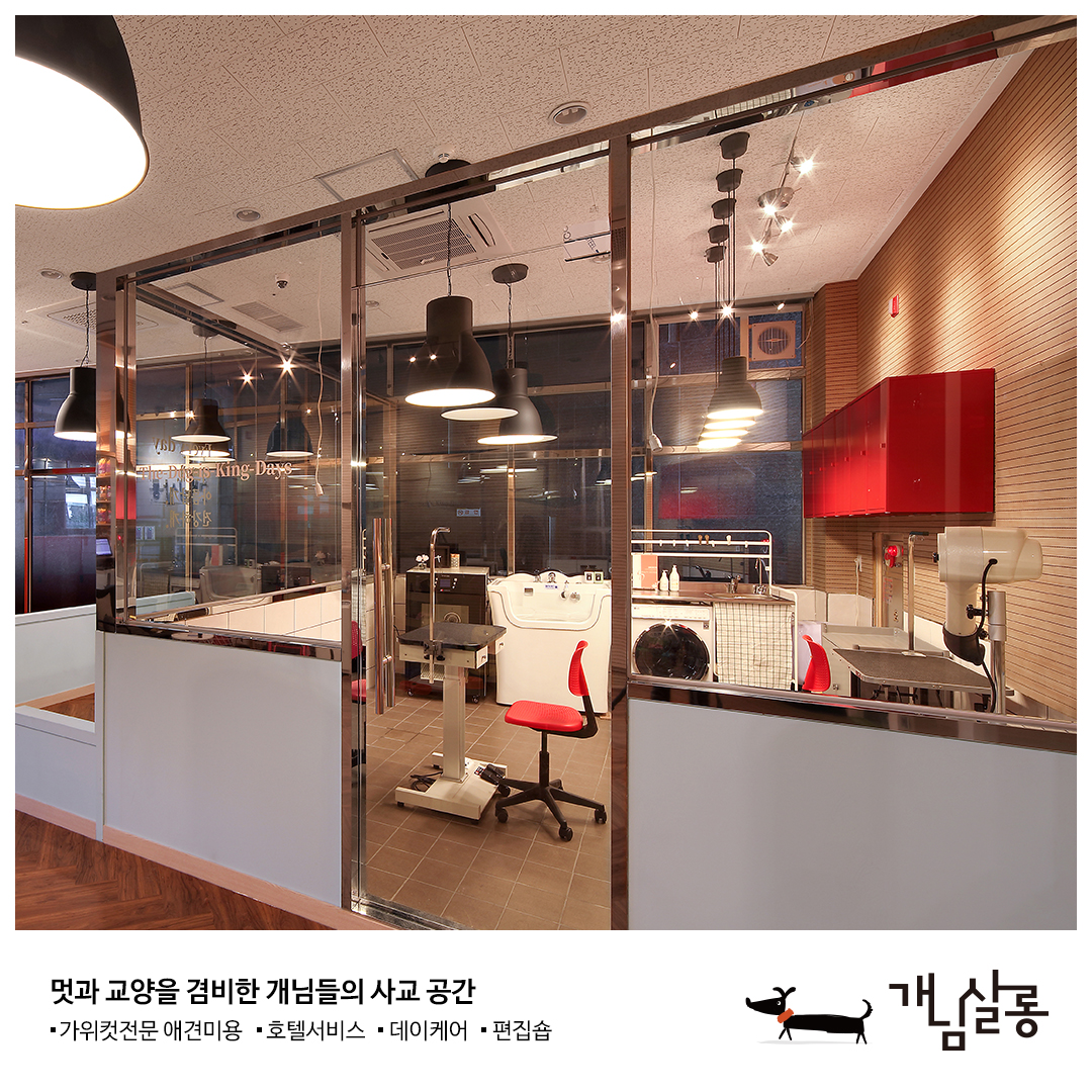 개님살롱 대표 이미지