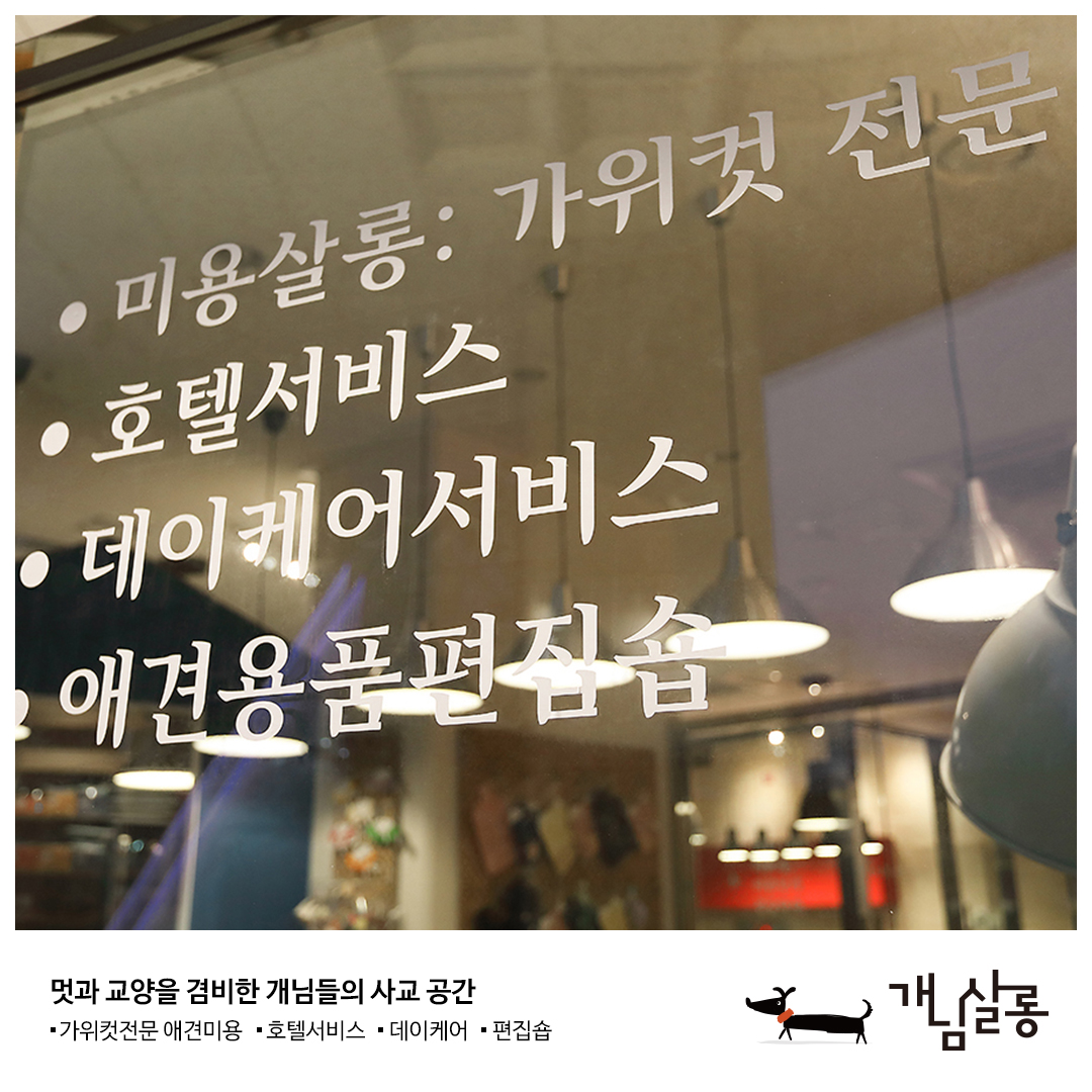 개님살롱 대표 이미지