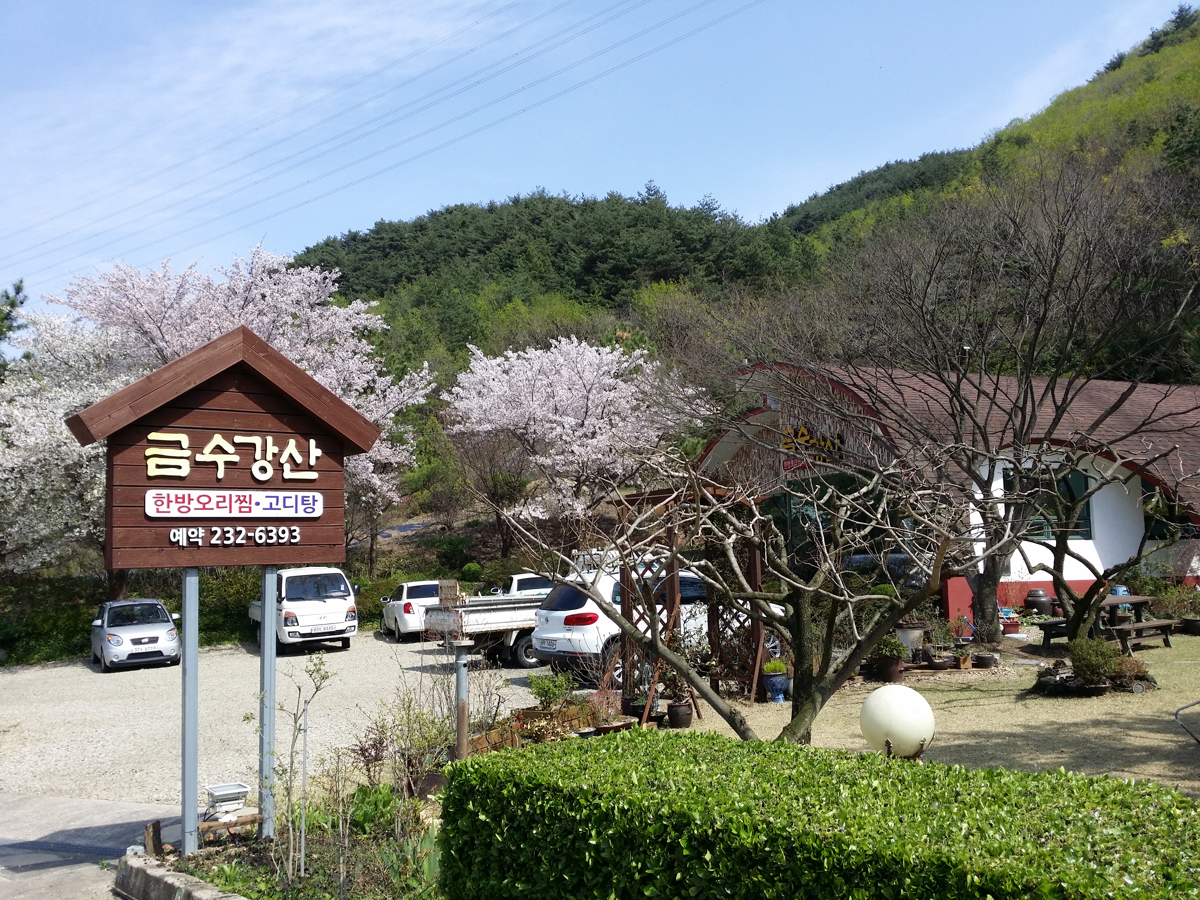 금수강산