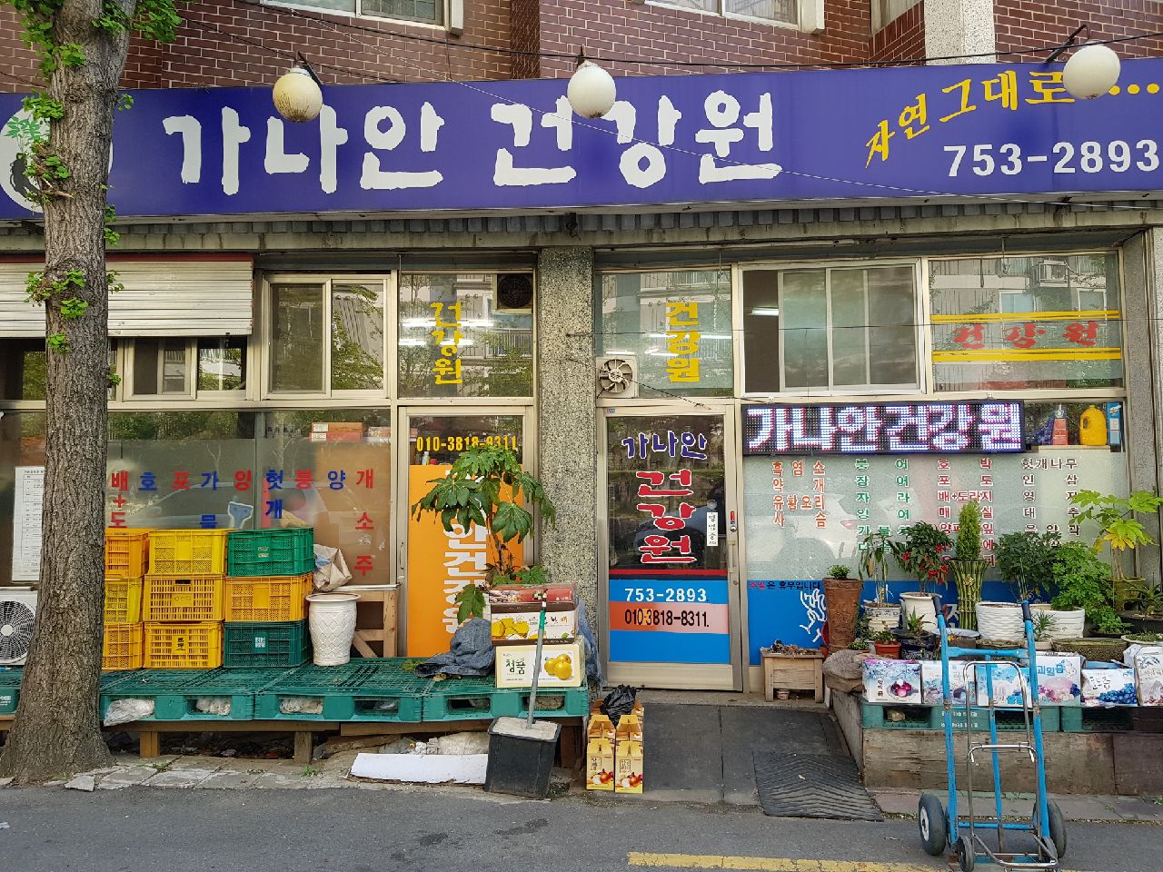 가나안건강원