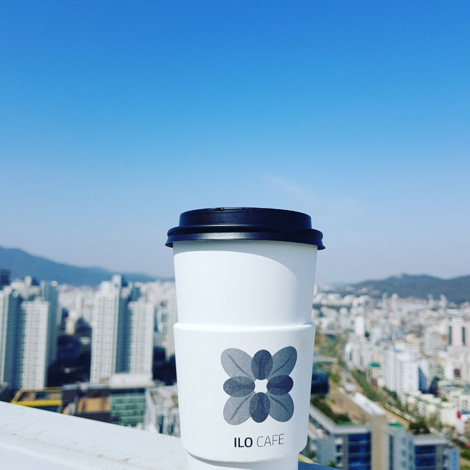 일로우 부산 애견카페