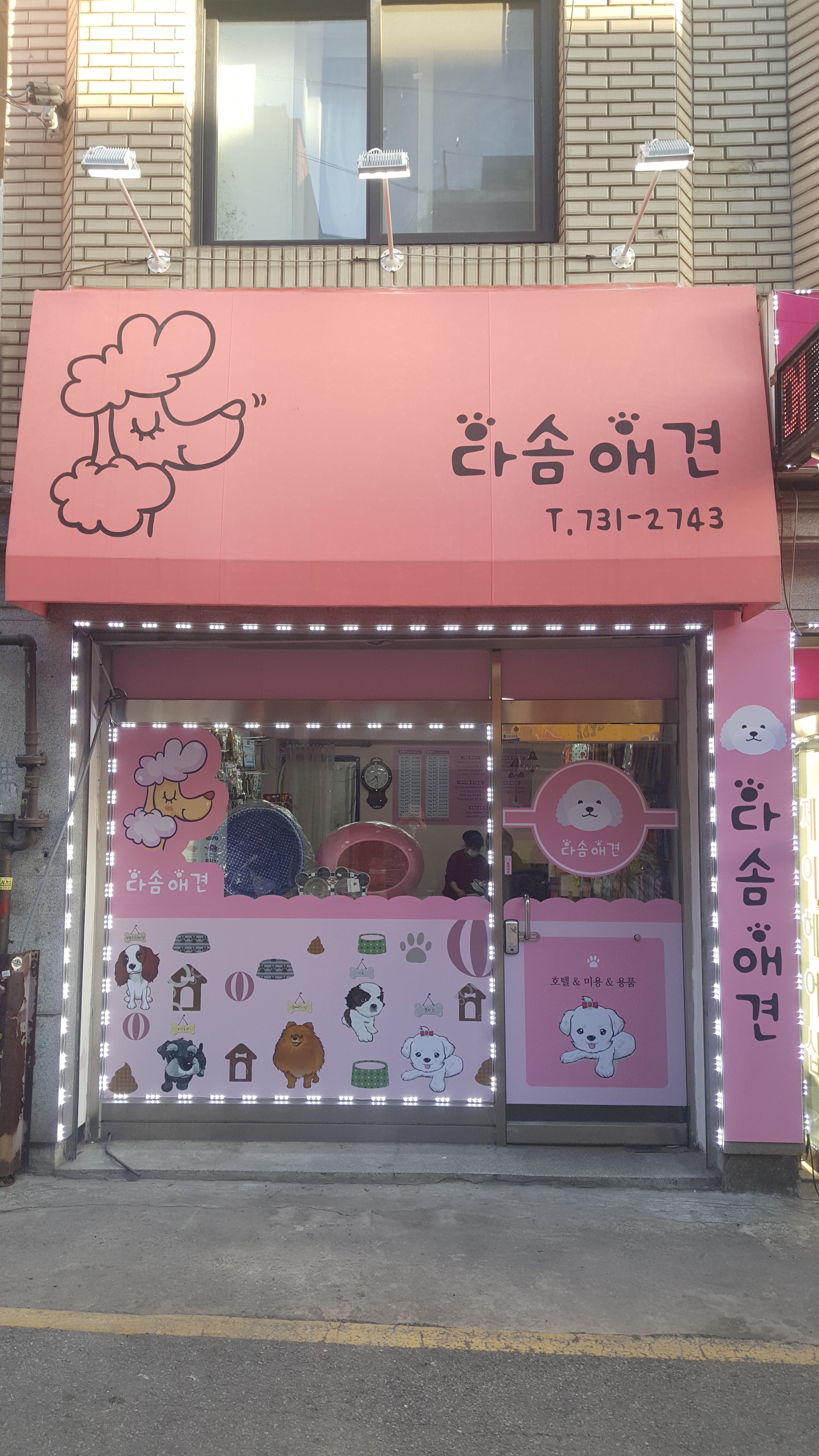다솜애견 대표 이미지