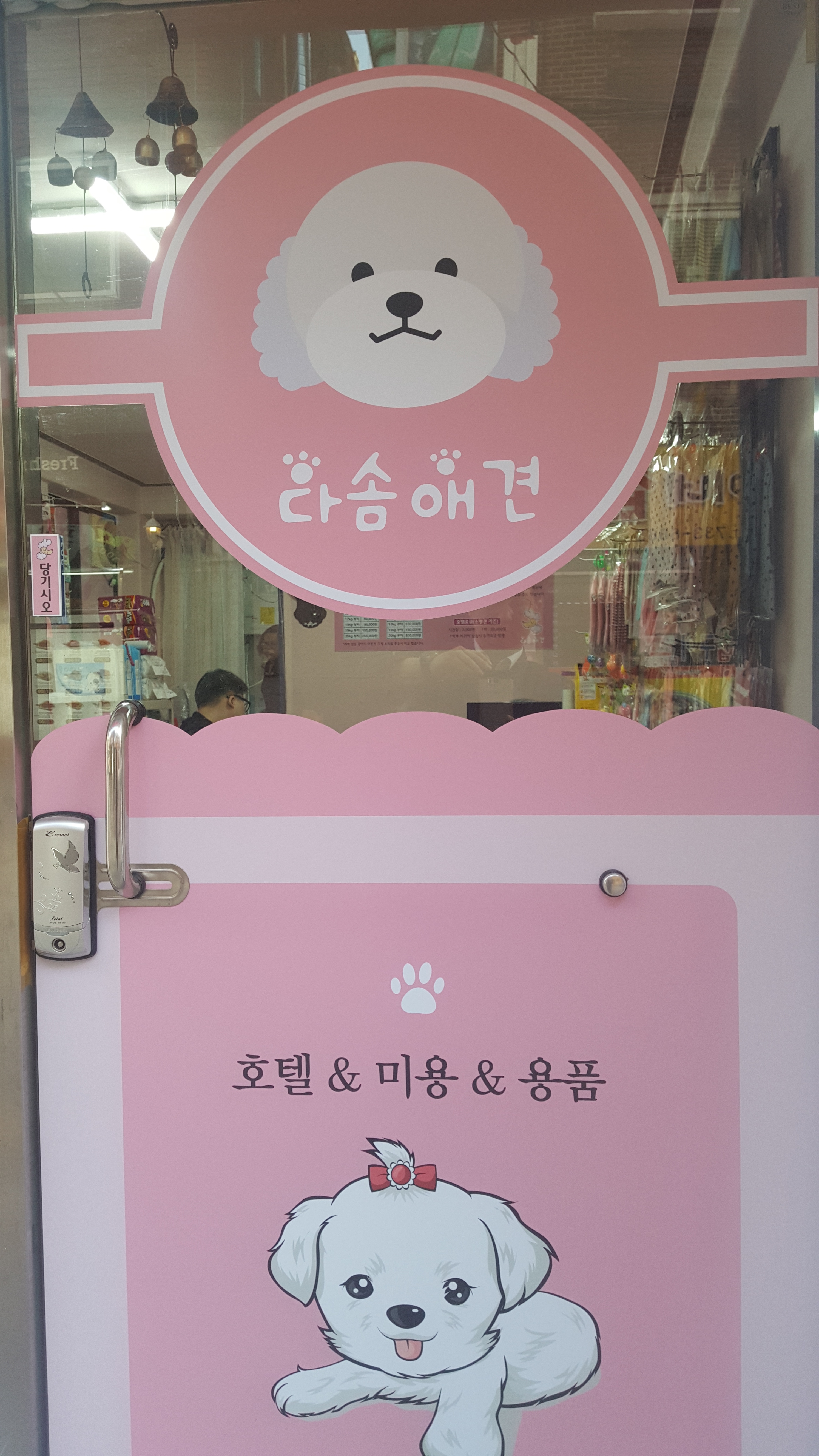 다솜애견 대표 이미지
