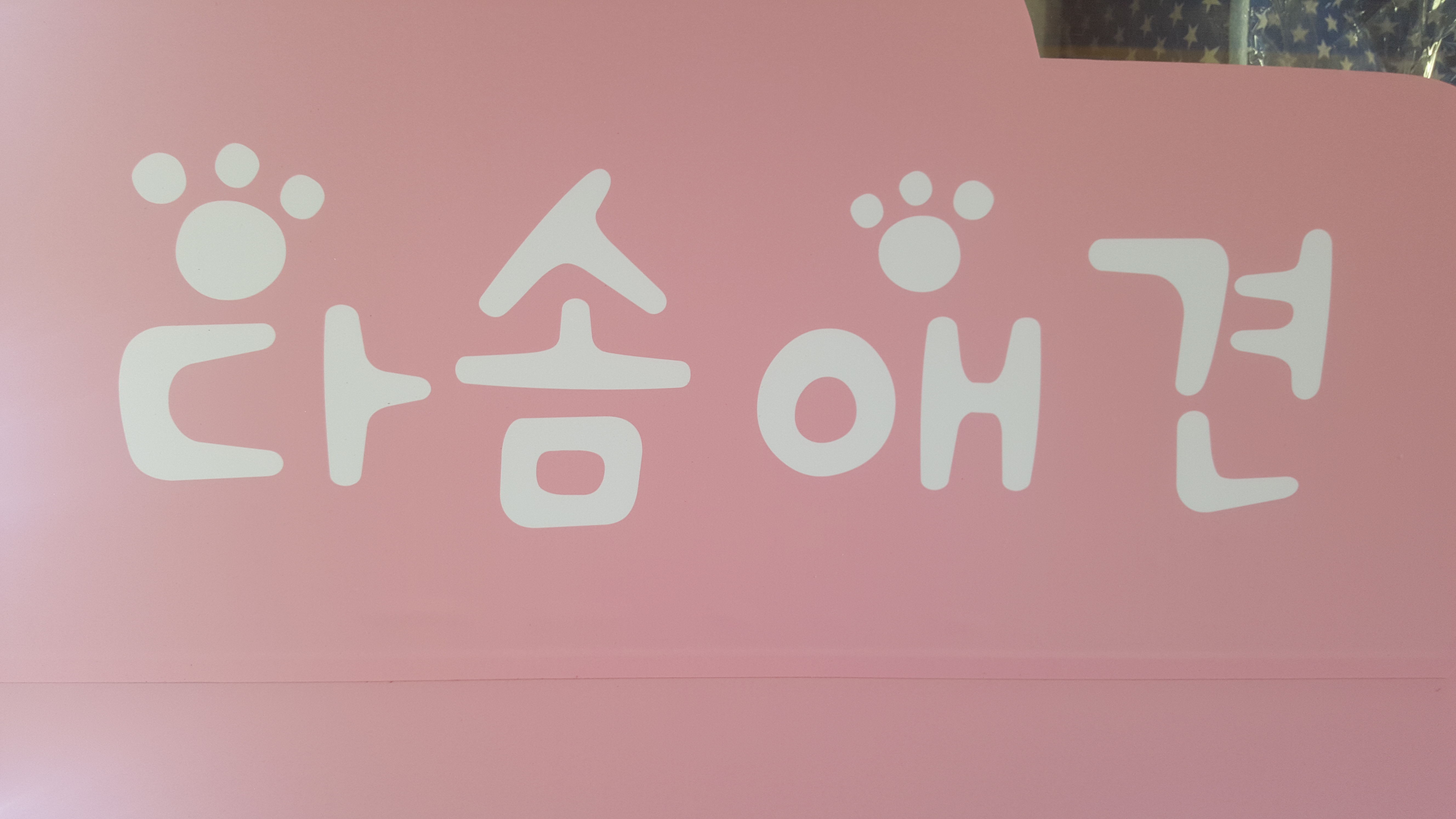다솜애견 대표 이미지