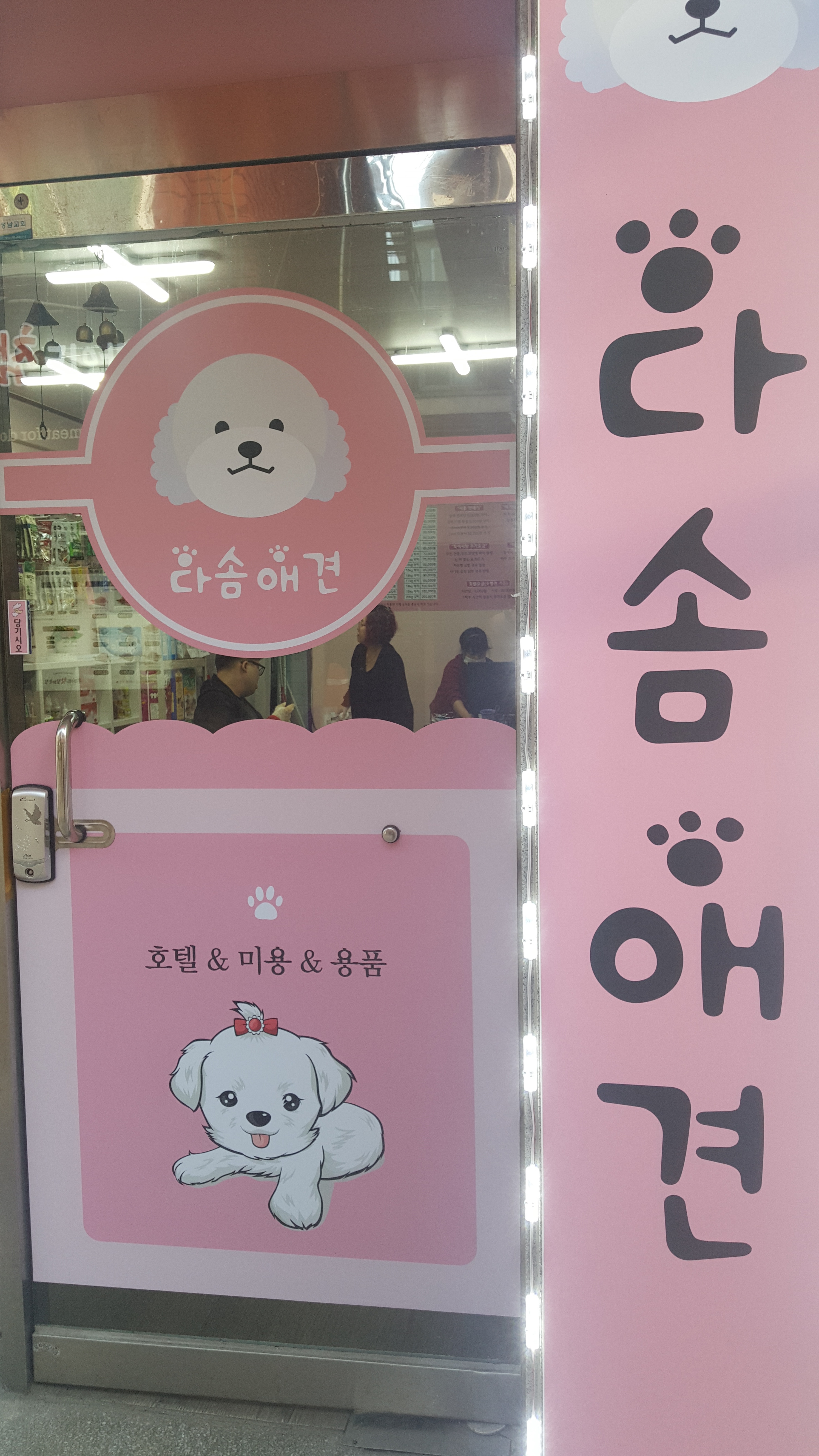 다솜애견 대표 이미지