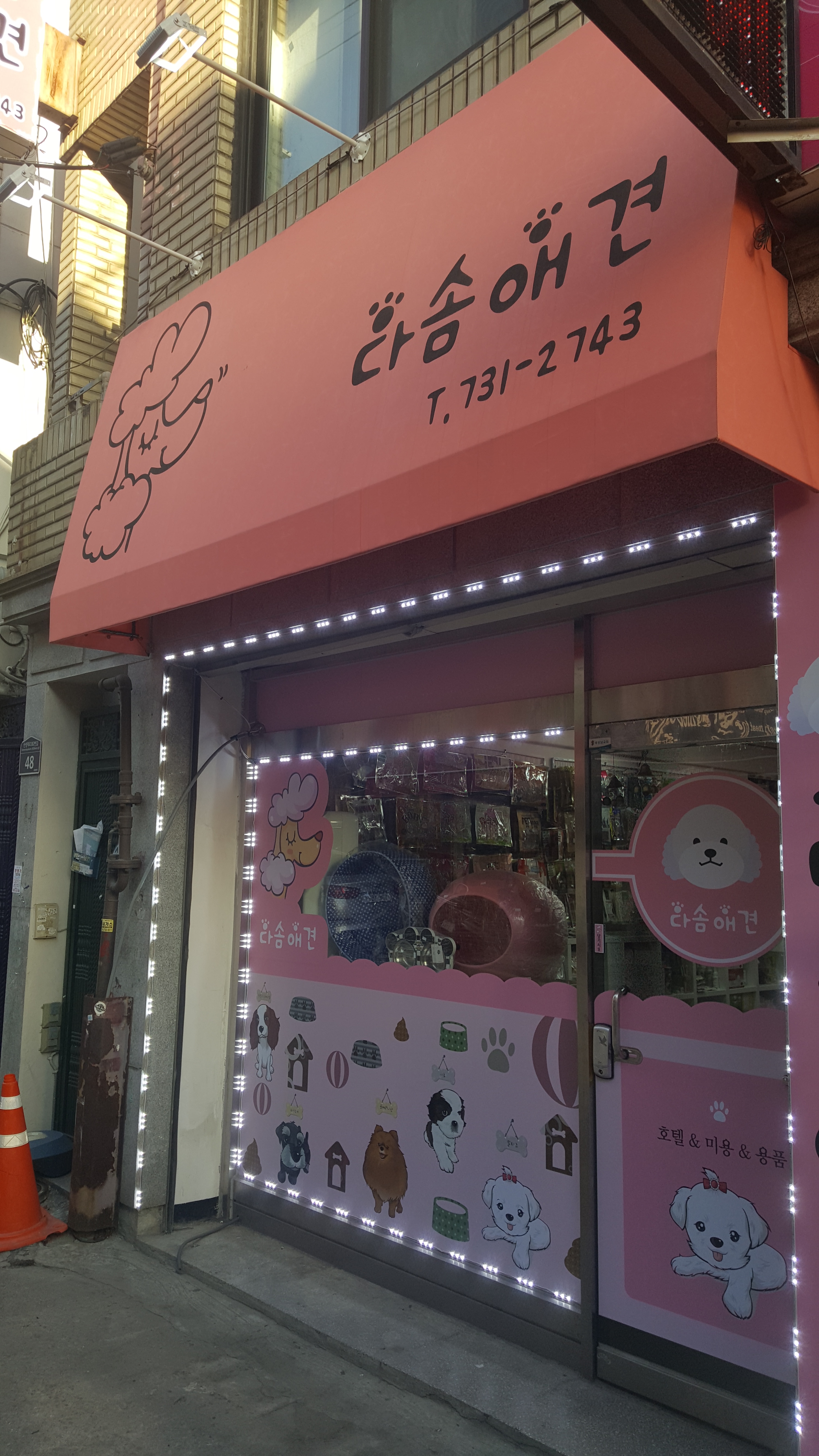 다솜애견 대표 이미지