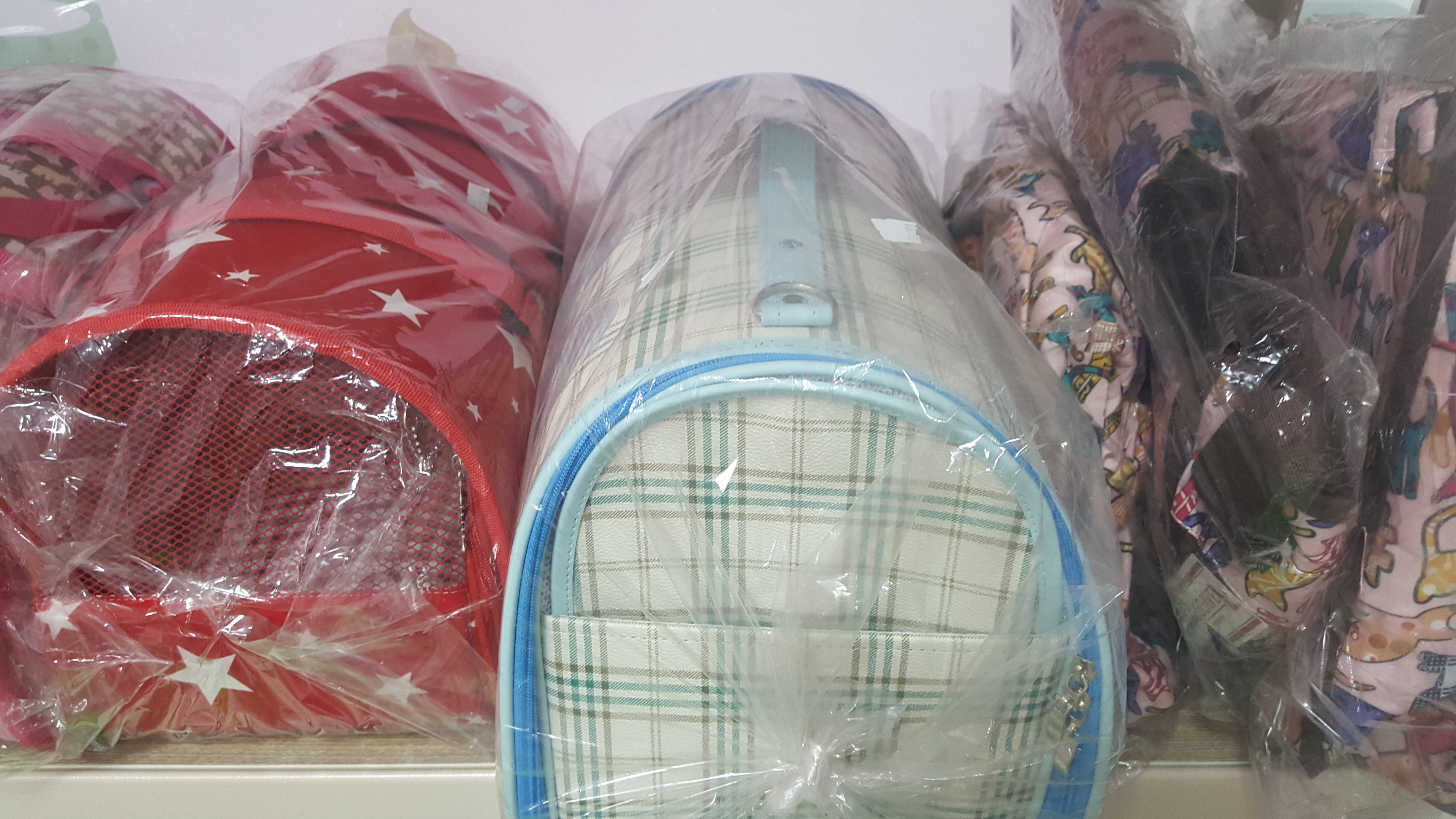 다솜애견 대표 이미지