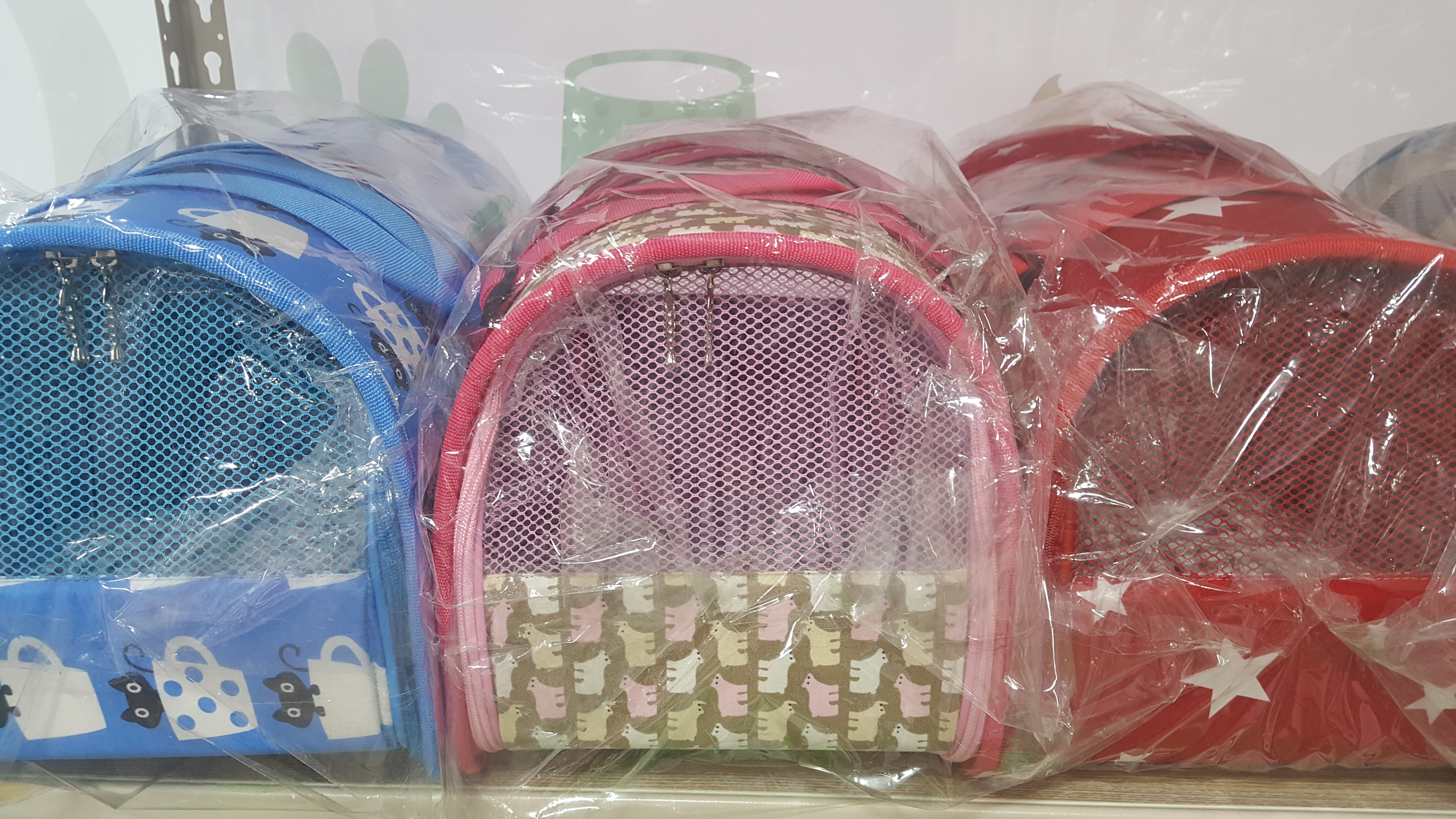다솜애견 대표 이미지