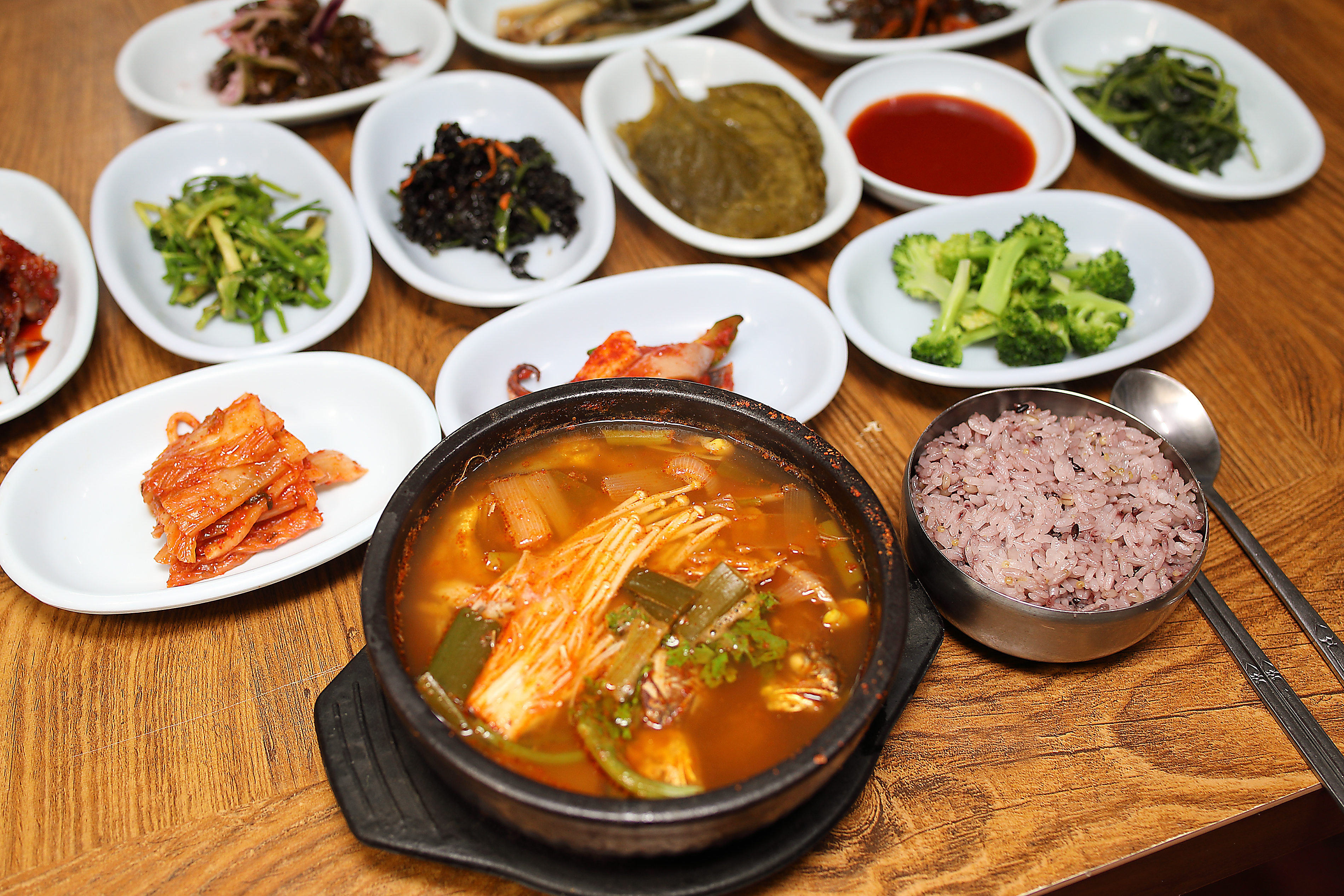 메종41 전라 애견맛집