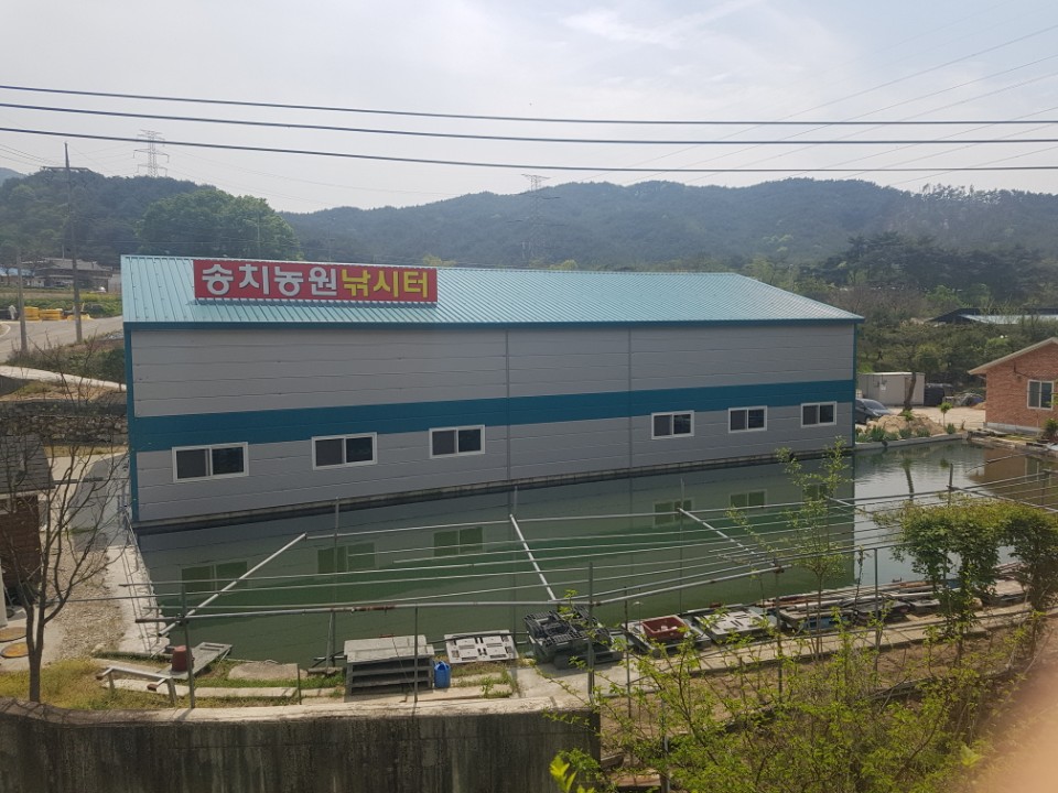 송치농원낚시터