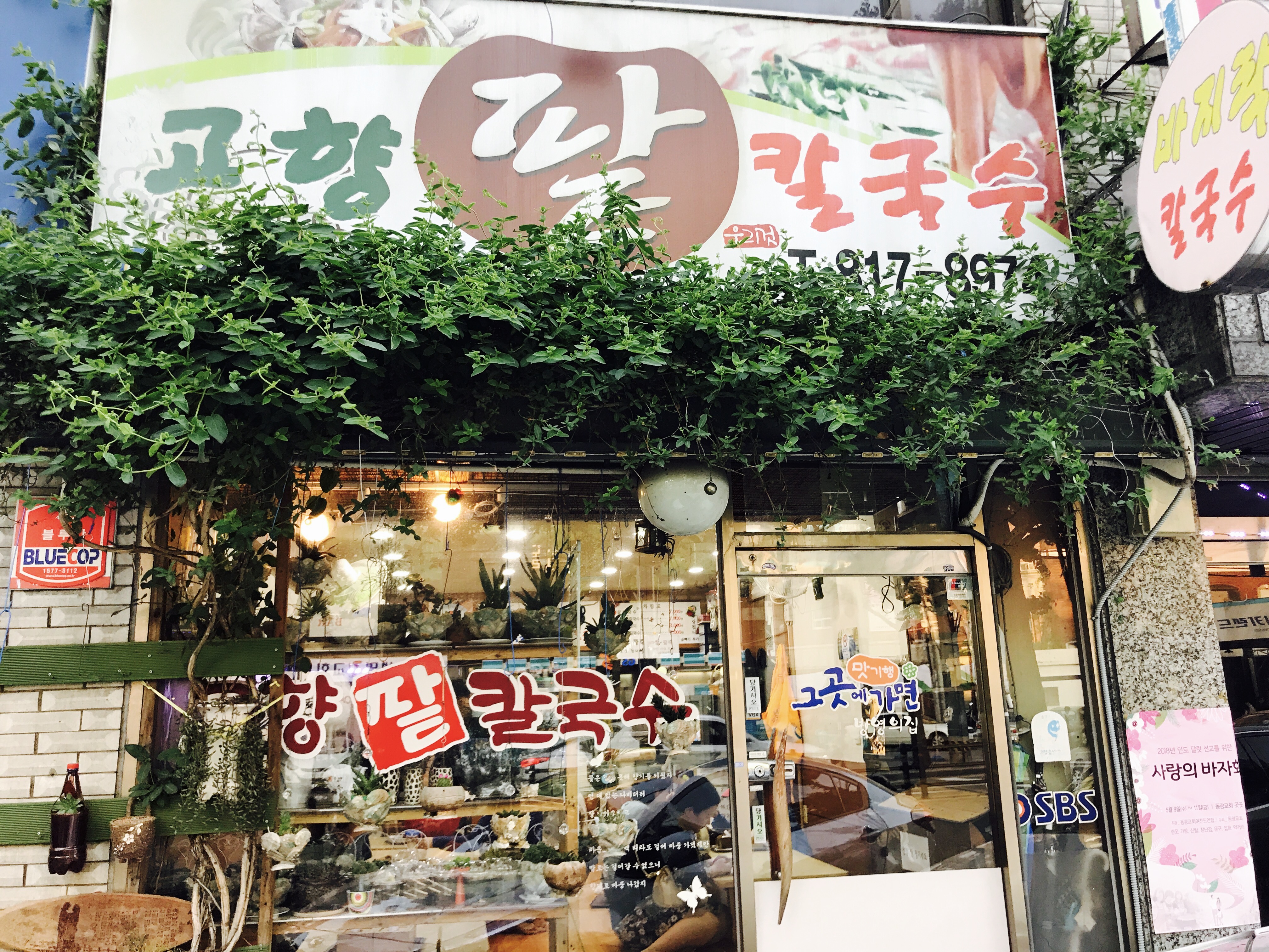 고향팥칼국수