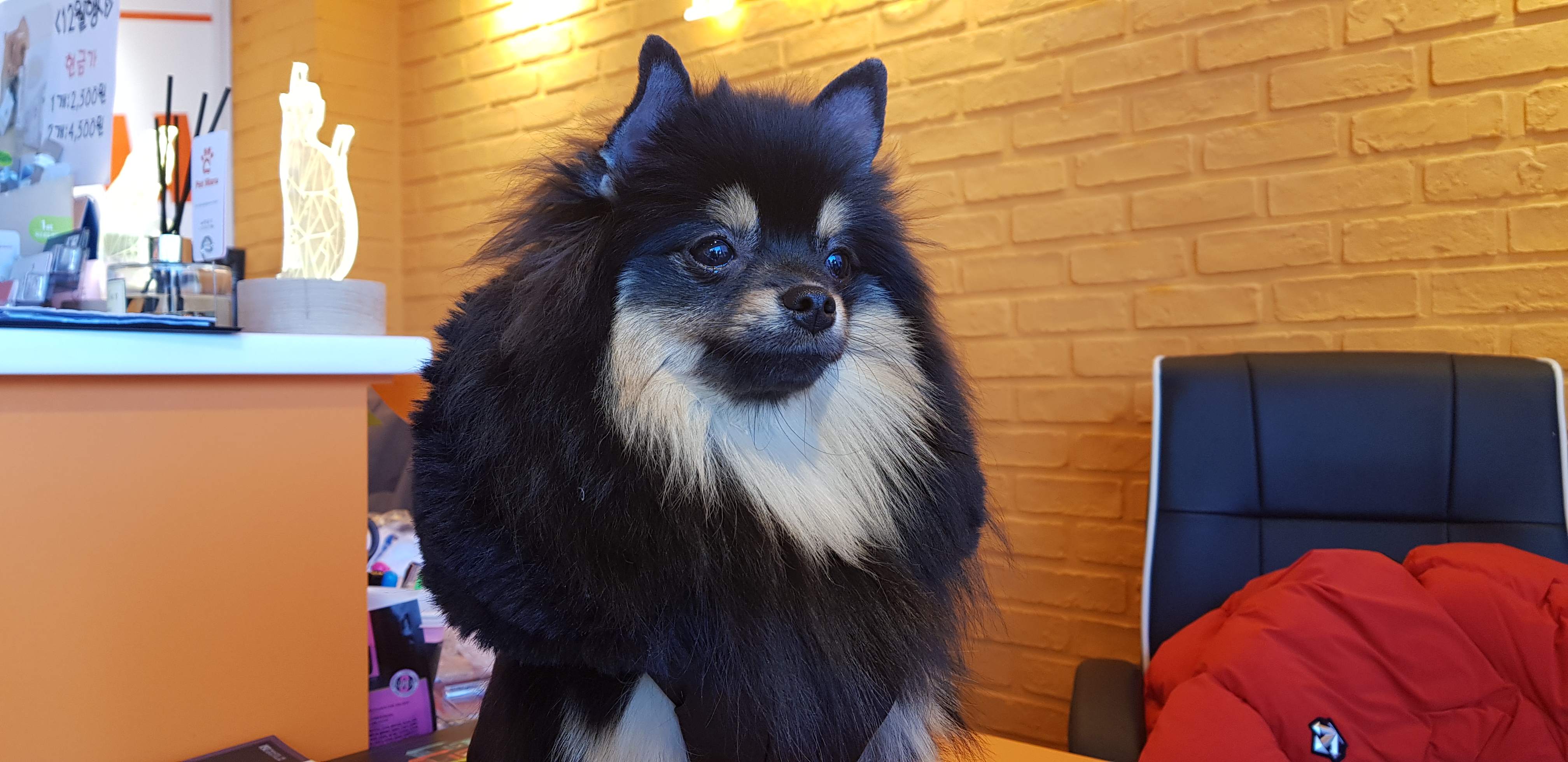 이미지