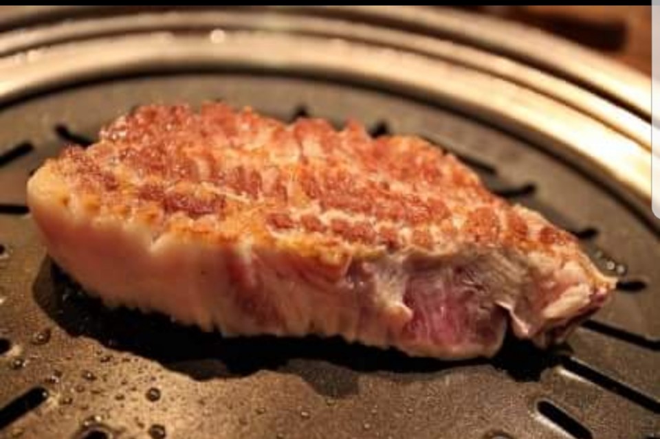 칠삼피그 진평본점 반려동물 동반 애견카페