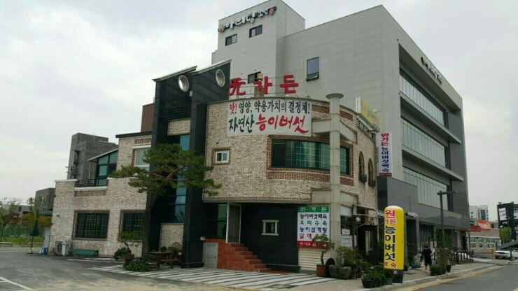 DA.dodo | 대전 유성구 능이백숙맛집 능이백숙 전문점 방문해 보세요 원가든 능이버섯백숙