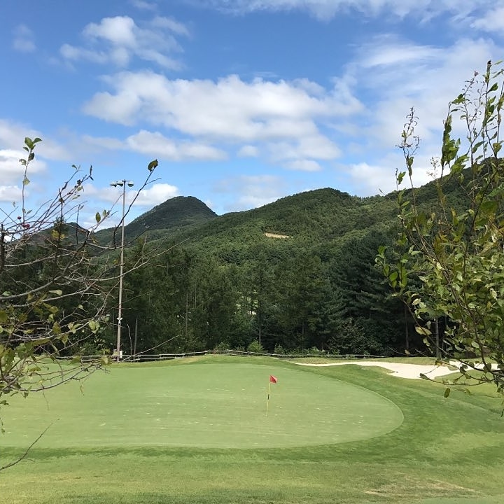 행신골프연습장 대표 이미지