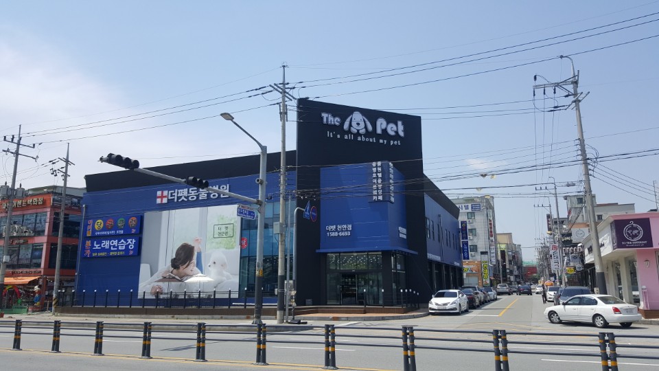 충남 천안시 애견용품 전문업체 추천 강아지스카프 애견용품샵 강아지목줄 강아지쿨나시 강아지쿨조끼 더펫 천안점