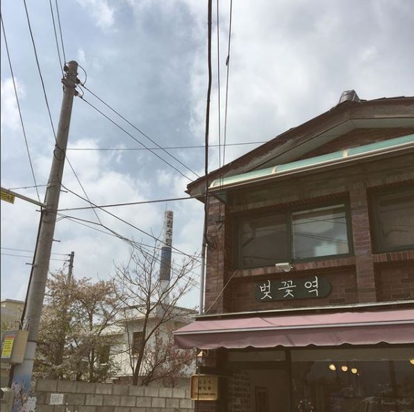 벚꽃역 베이커리 카페 내부 또는 관련 모습