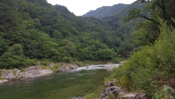 미산분교 캠핑장 — 인제군
