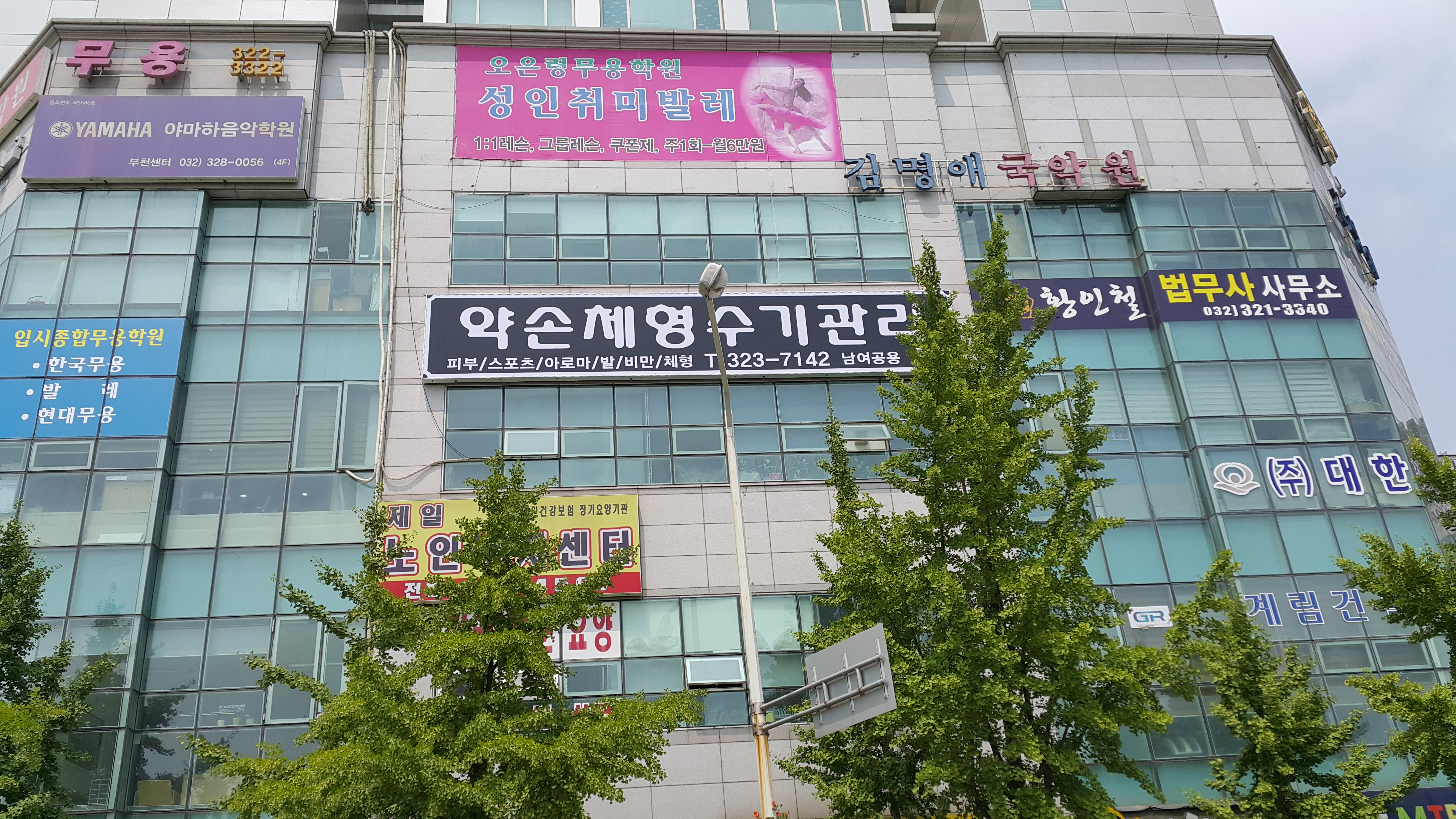 약손체형수기관리