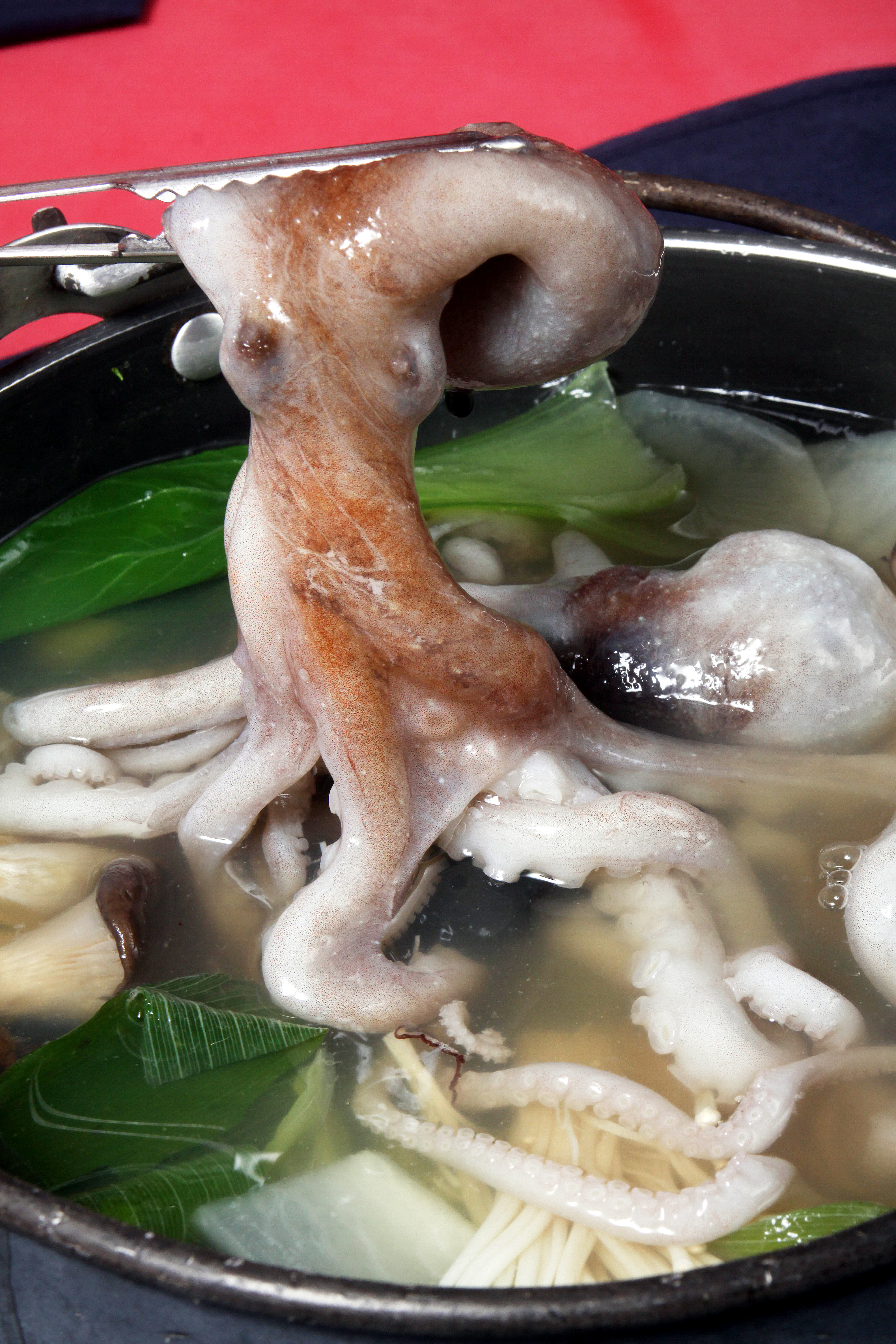 서린낙지