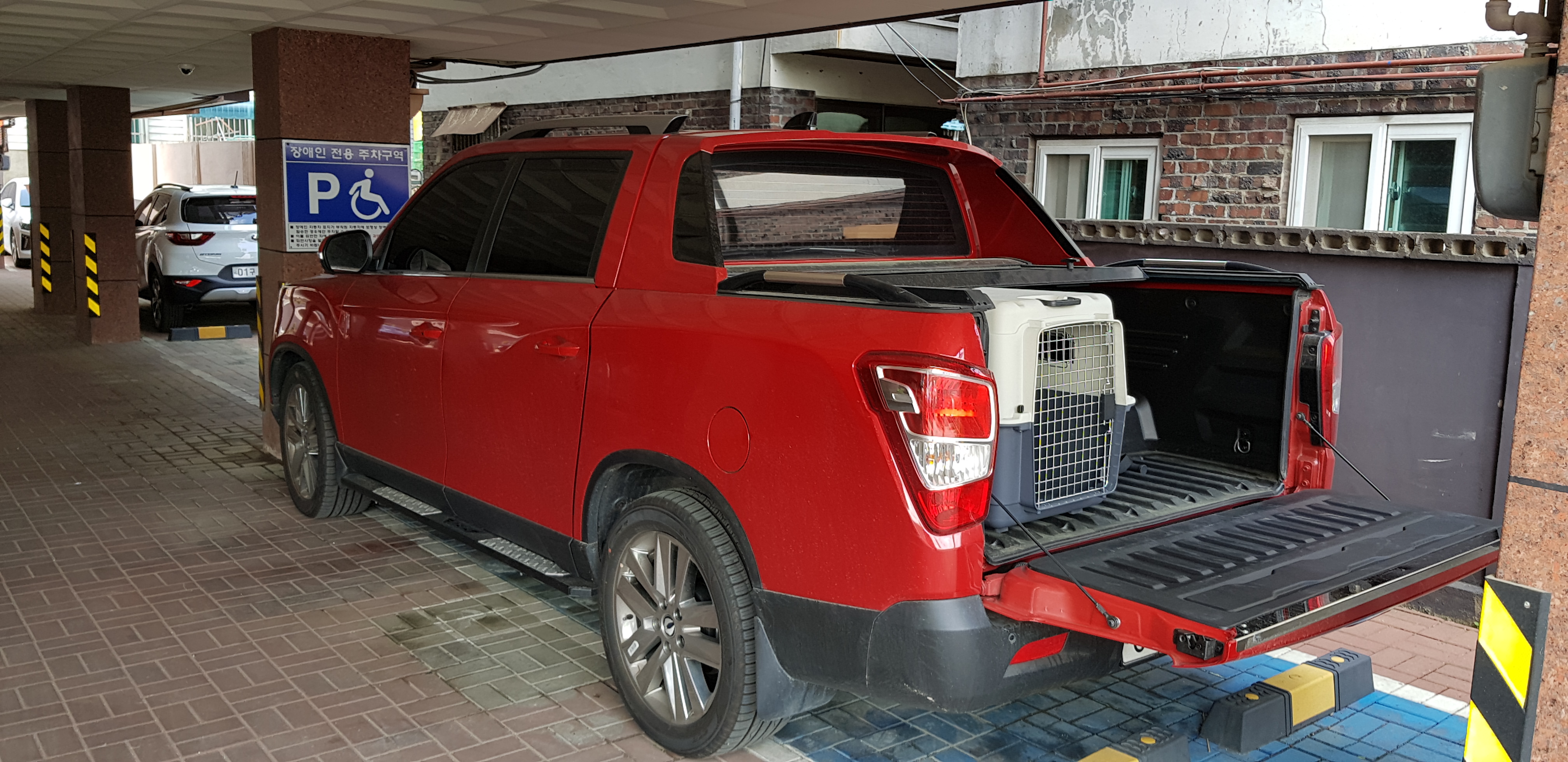 레드카펫 대표 이미지