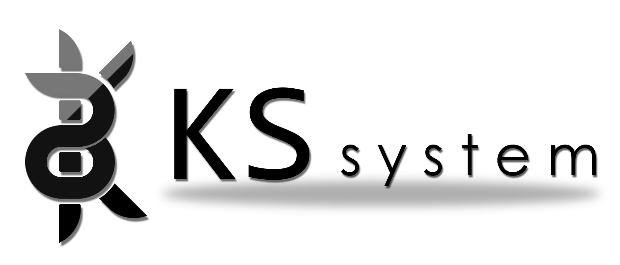 KS SYSTEM