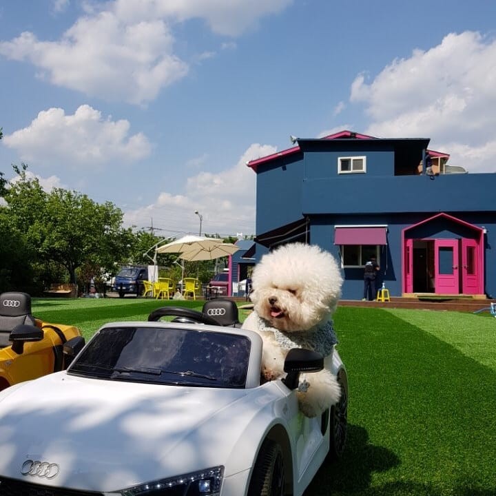 봉봉 6