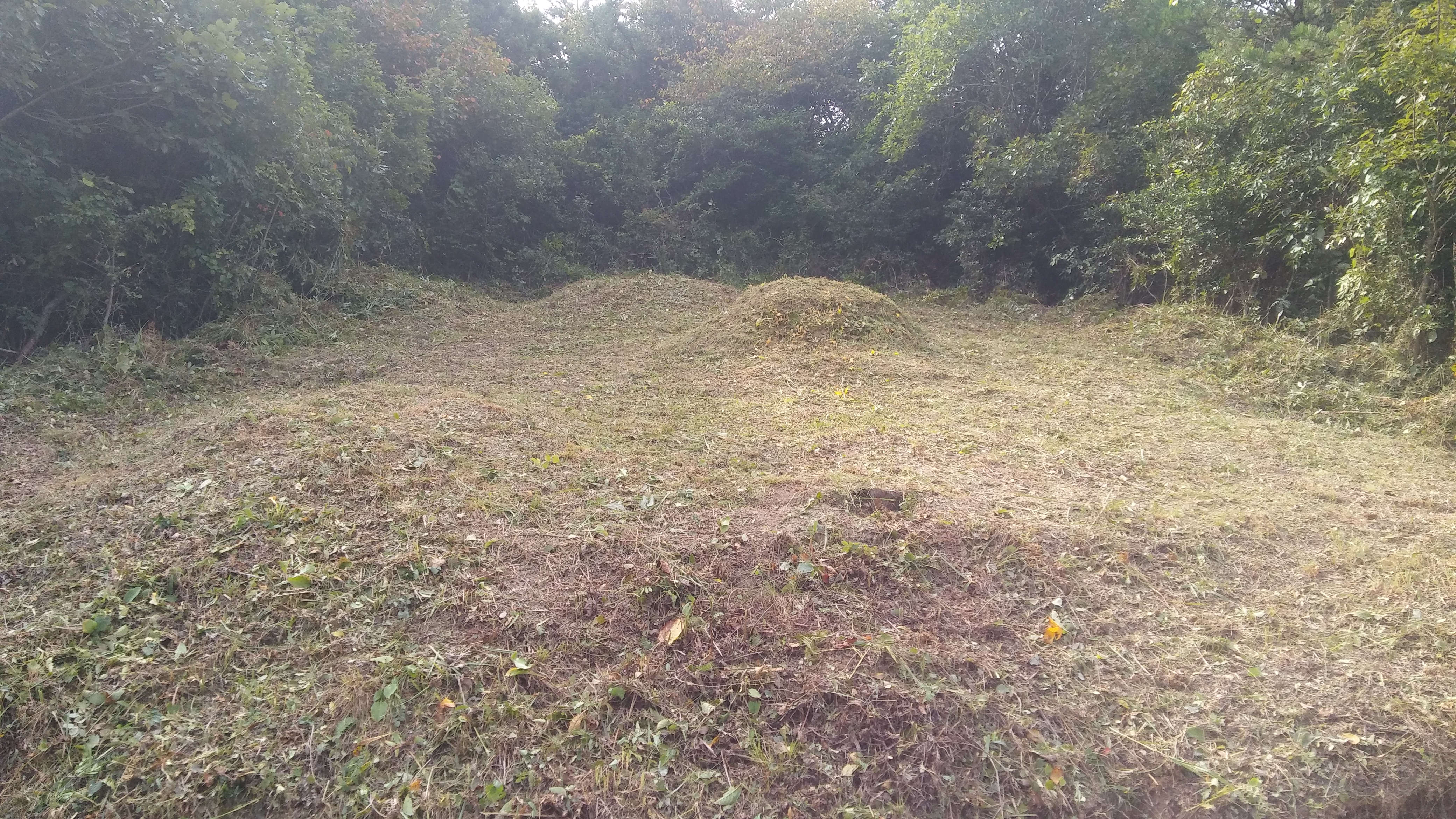 효자효 벌초대행