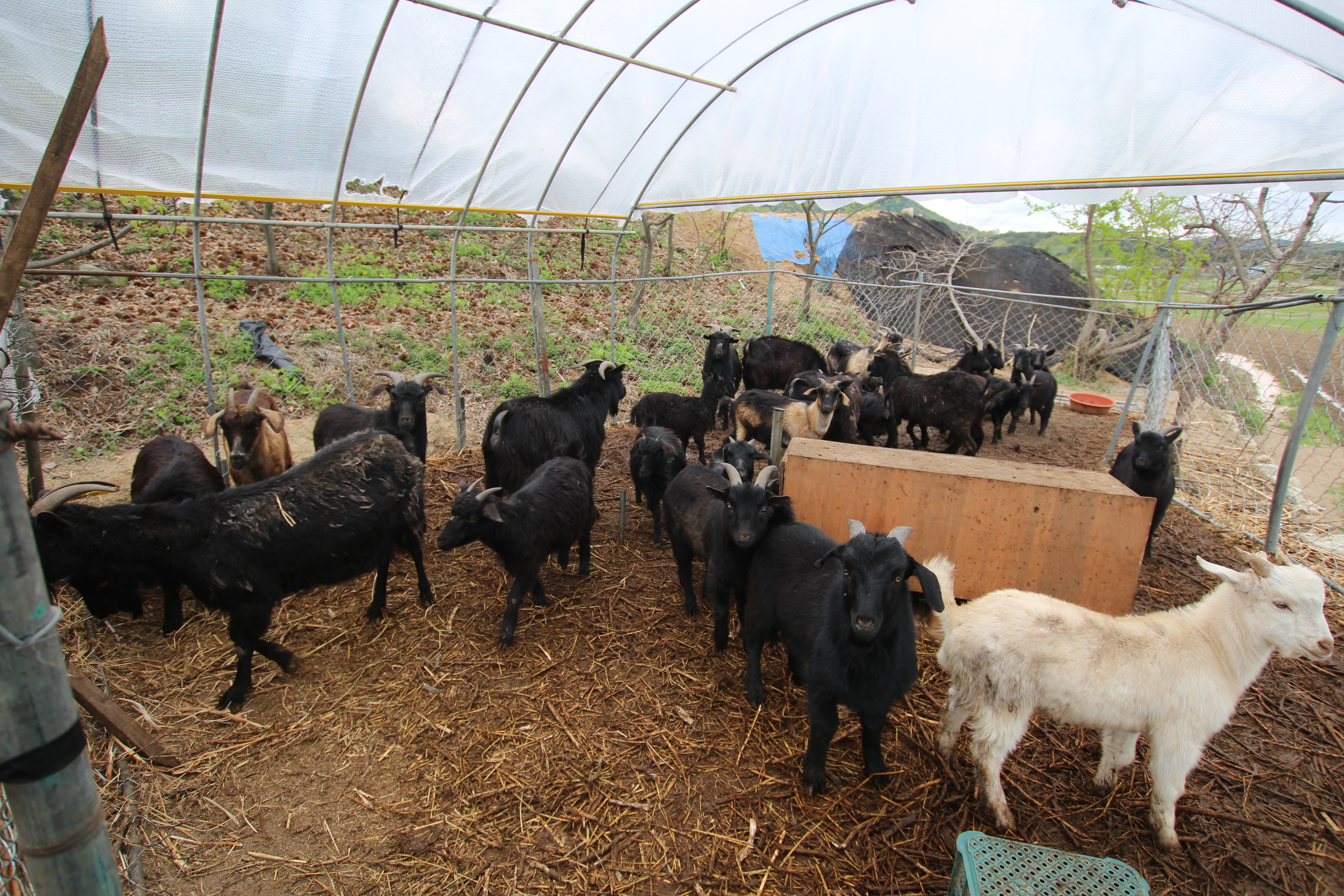 고향농원가든 대표 이미지