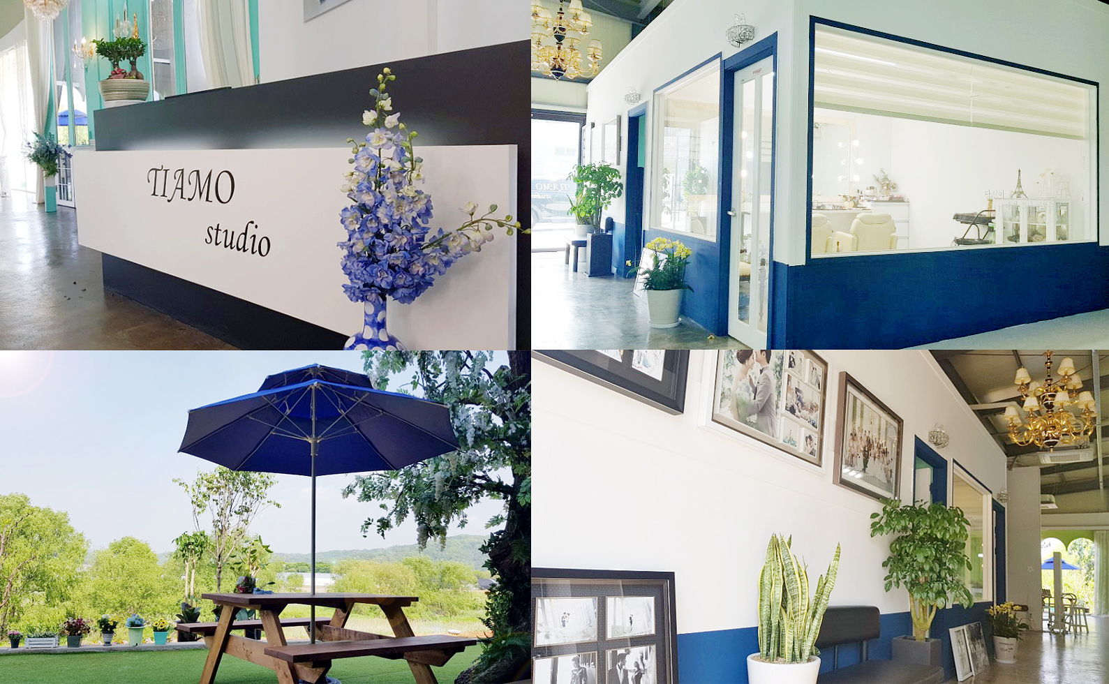 티아모스튜디오 대표 이미지