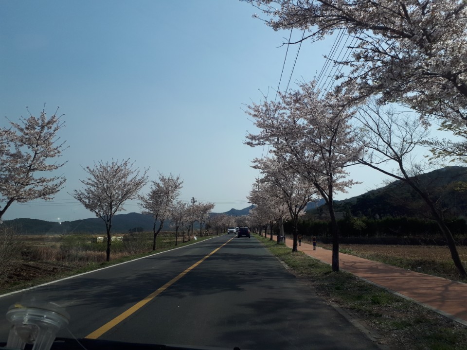 천년밀면 대표 이미지