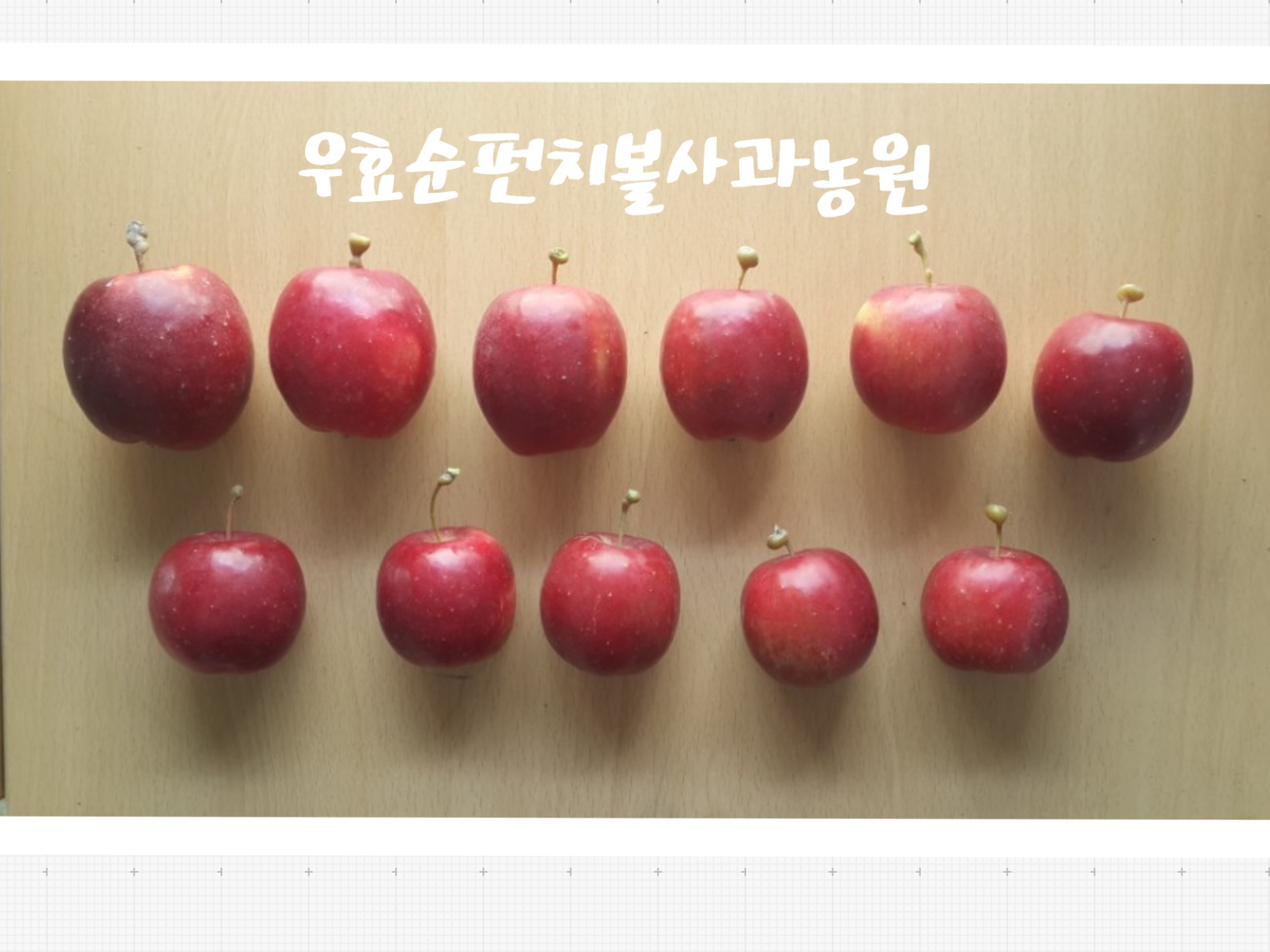 우효순펀치볼사과농원
